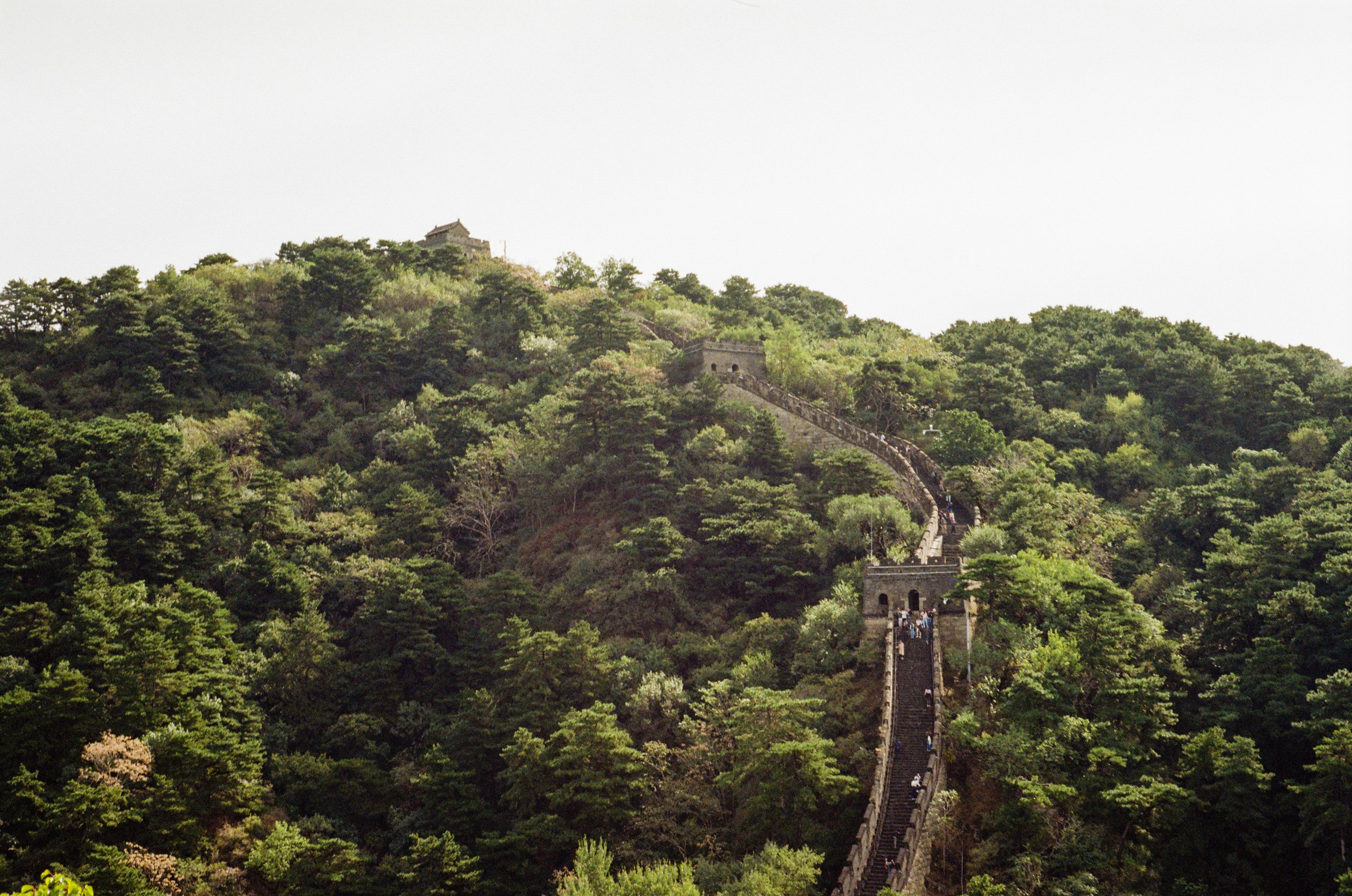 Die Große Mauer von China, die sich durch üppig grüne Berge schlängelt.