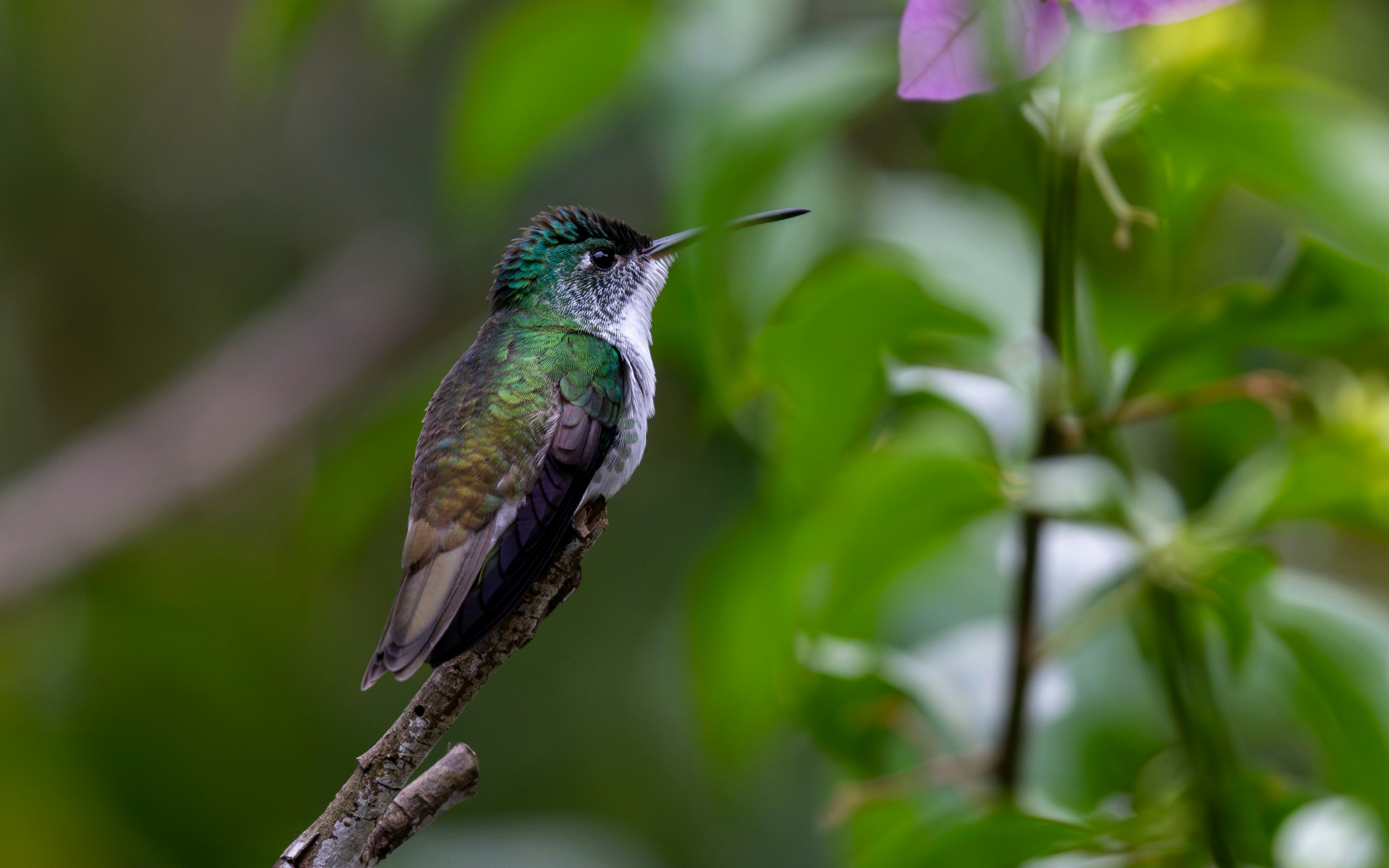 Photo by oj_wildframe