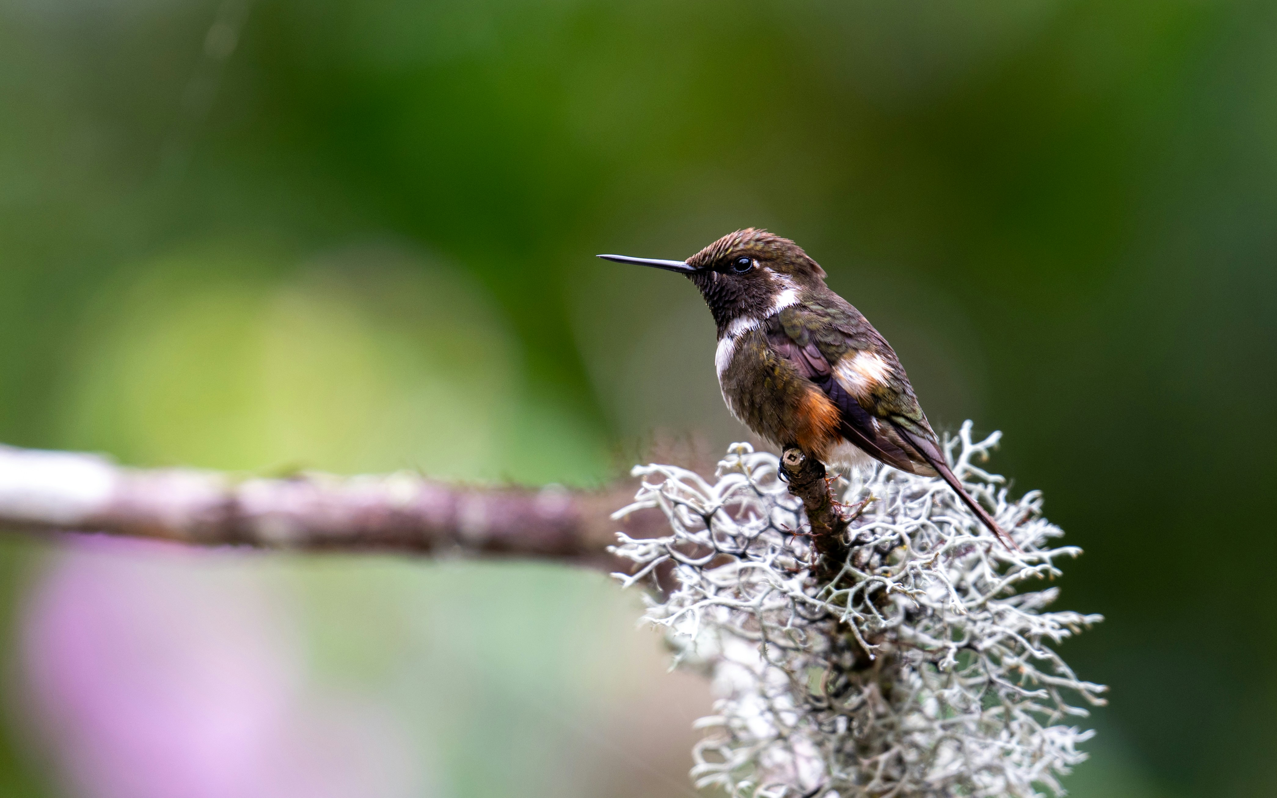 Photo by oj_wildframe