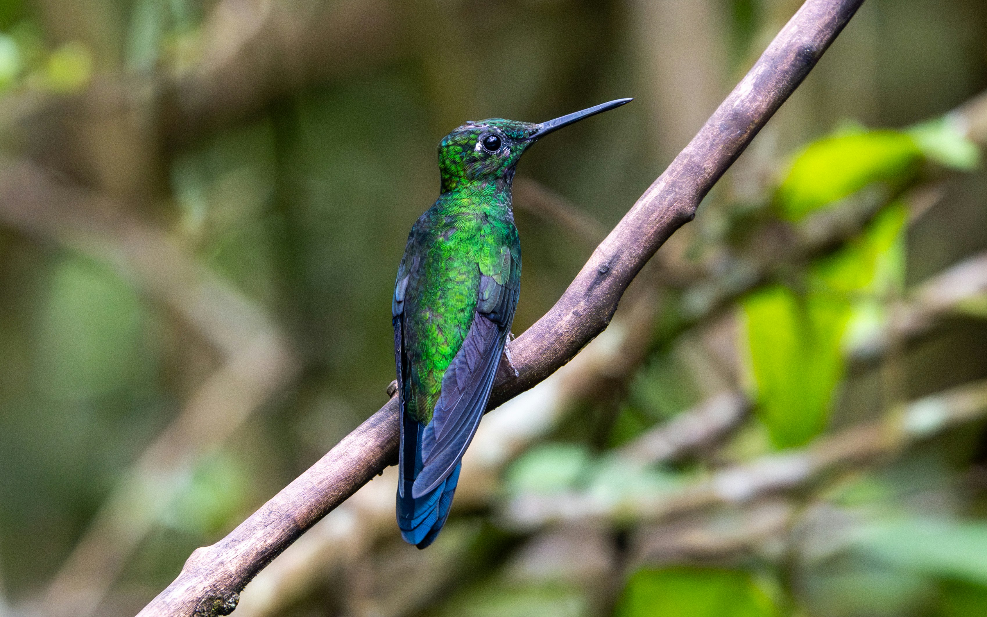 Photo by oj_wildframe