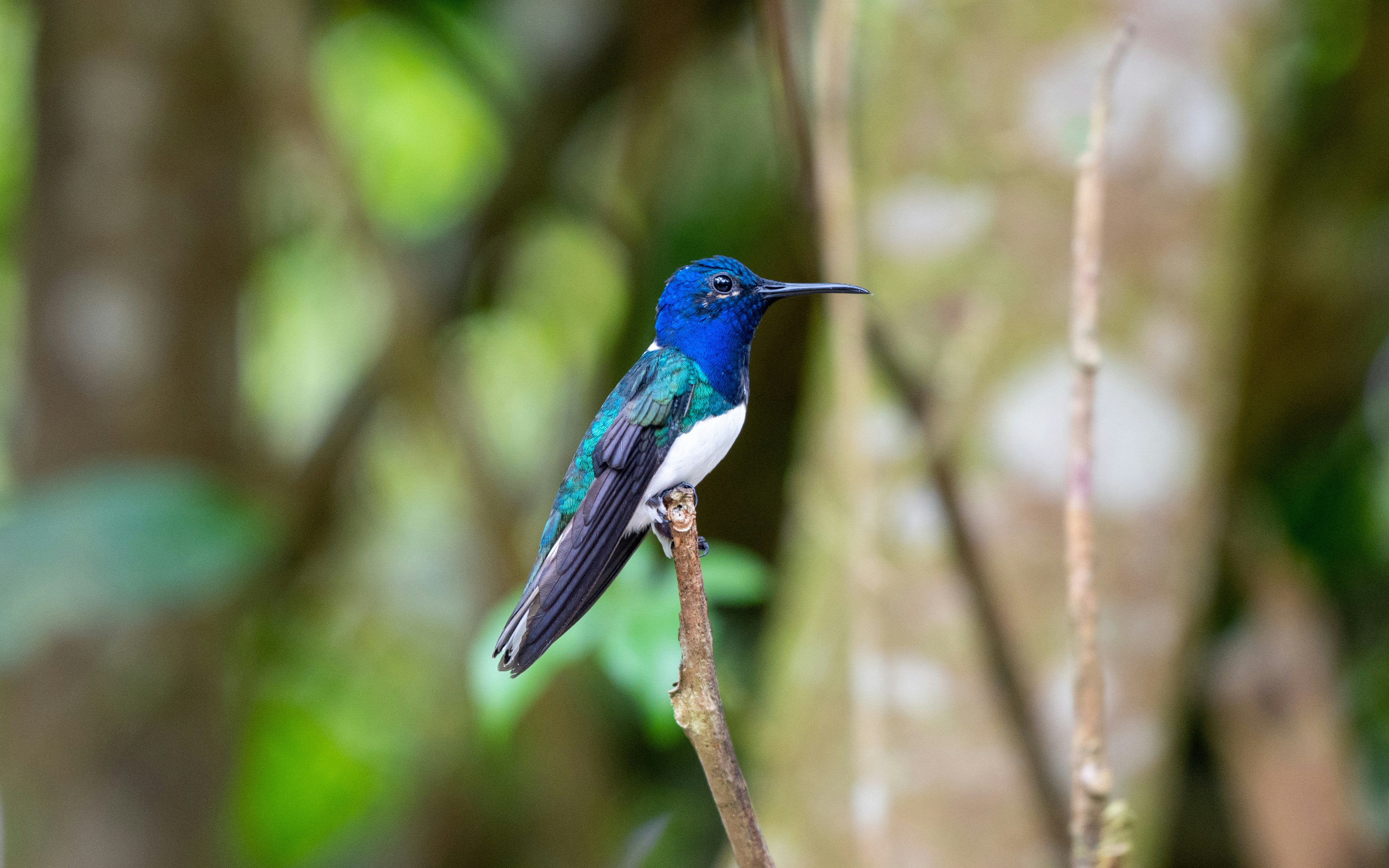 Photo by oj_wildframe