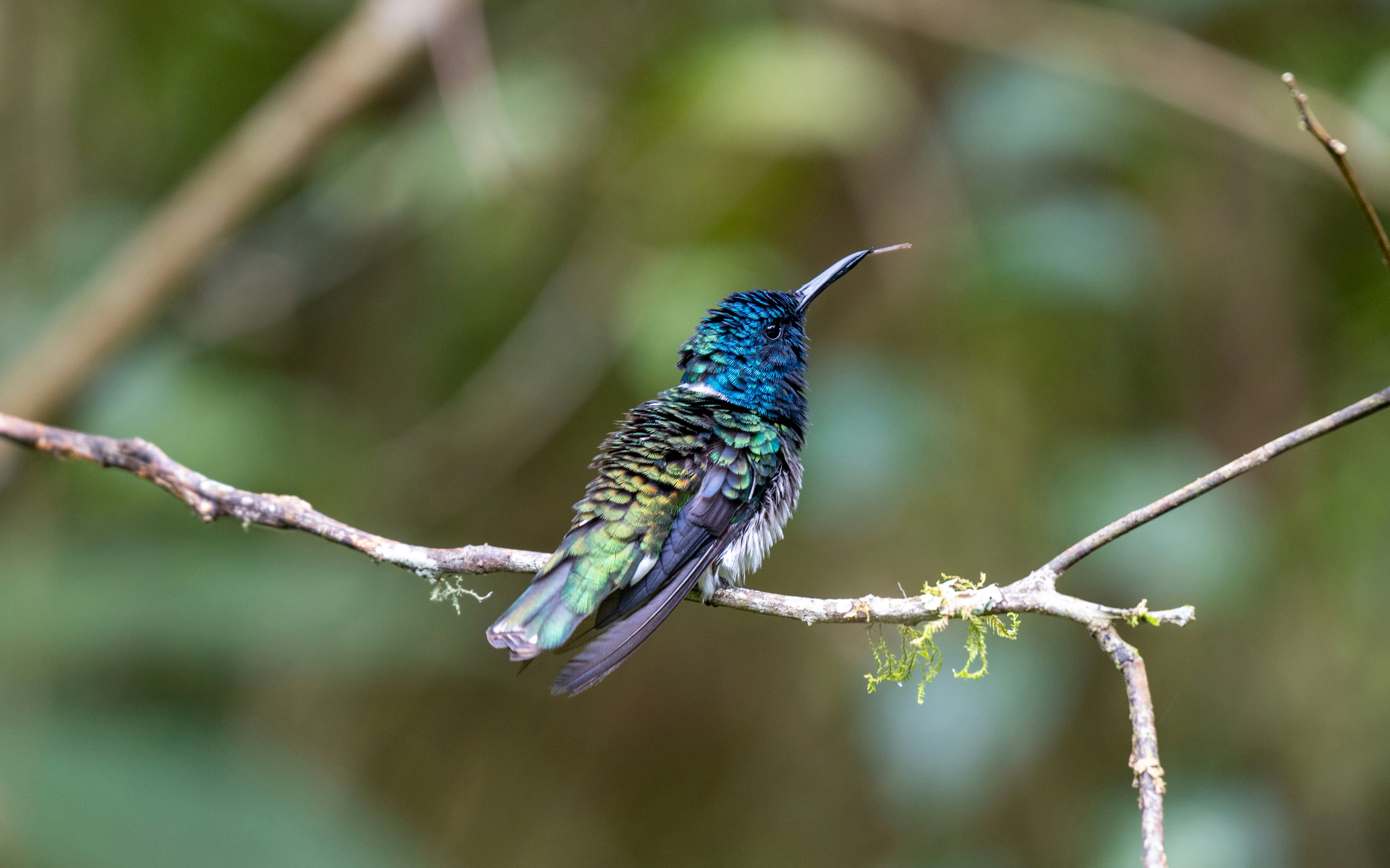 Photo by oj_wildframe