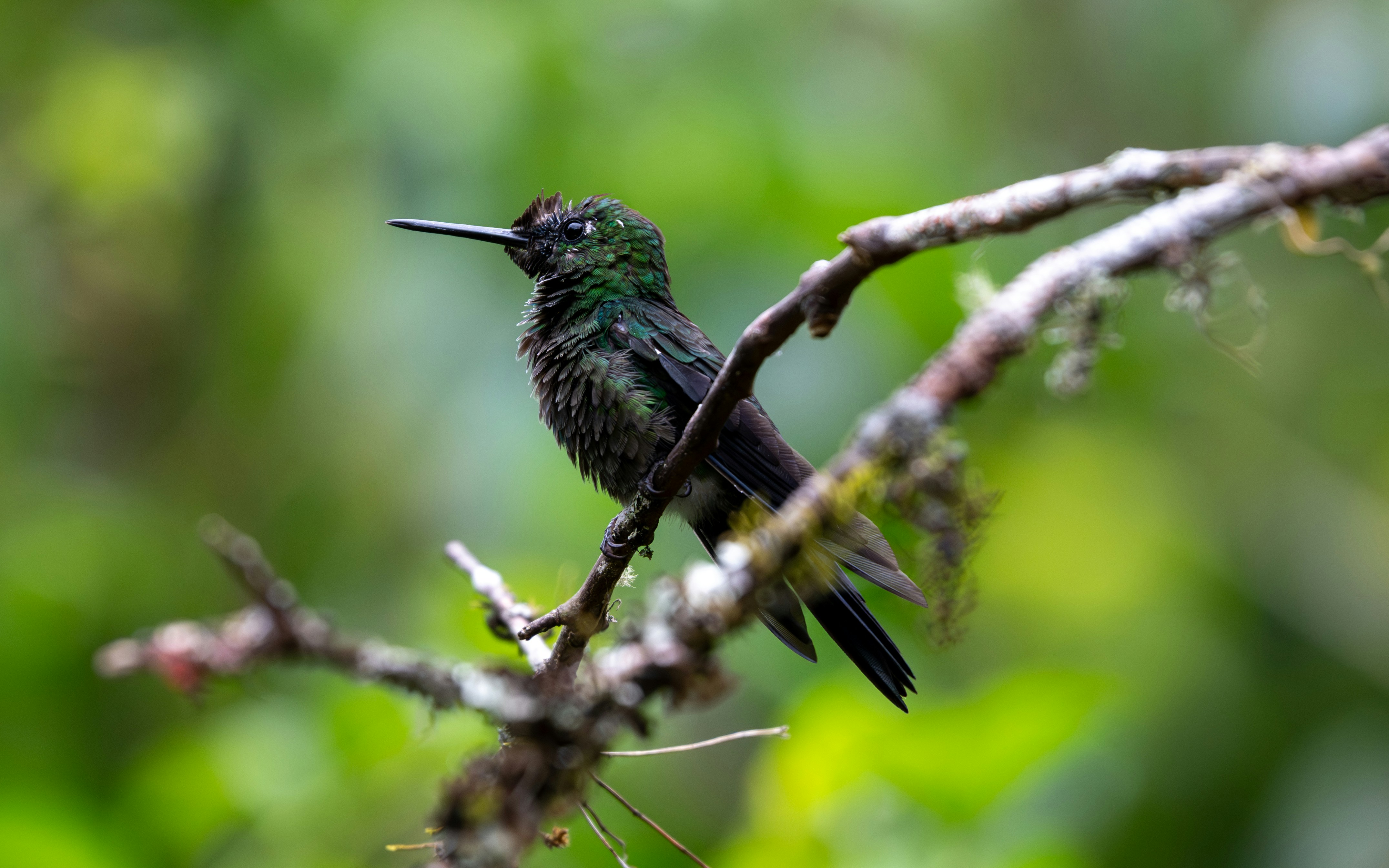 Photo by oj_wildframe