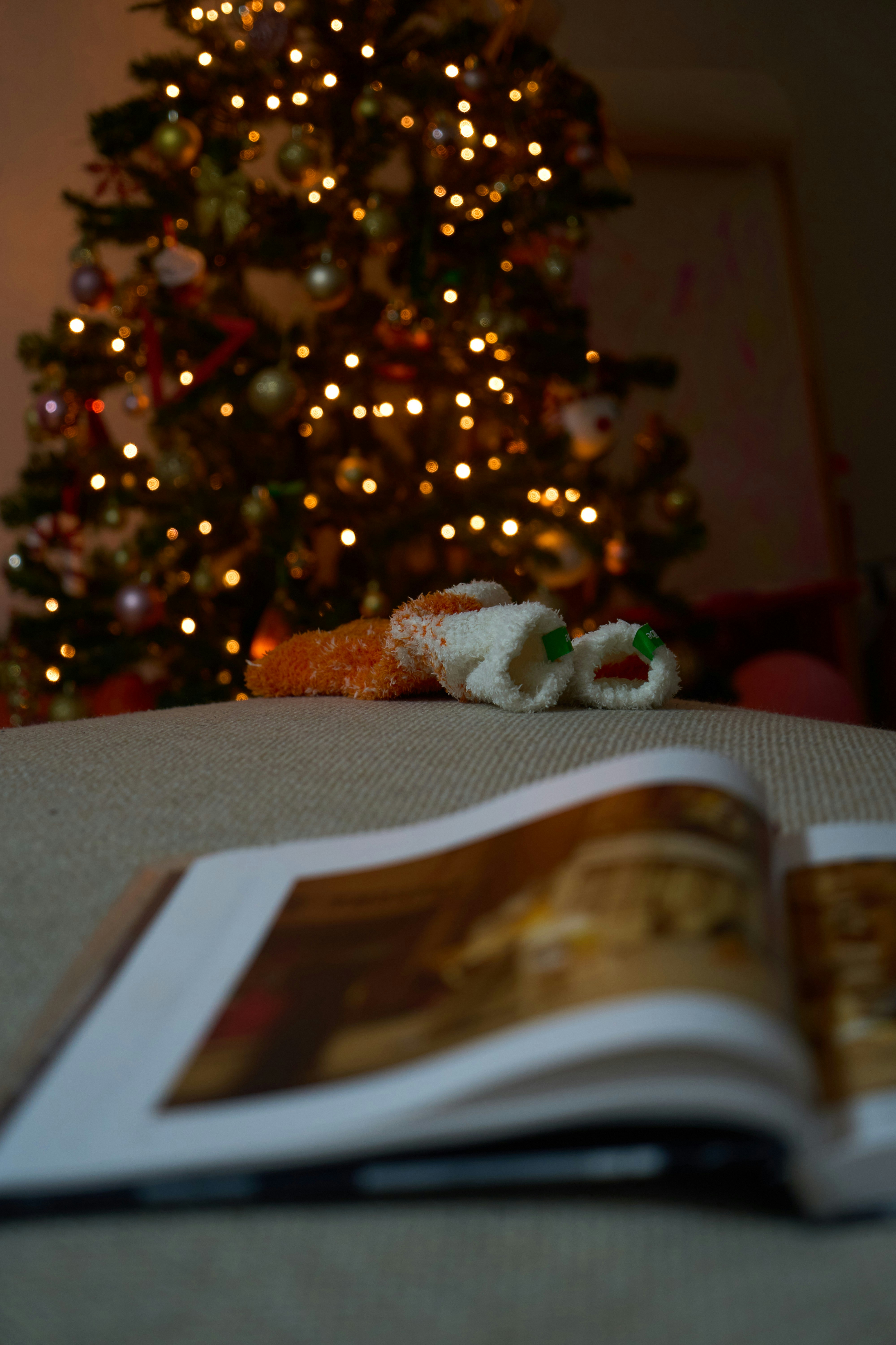 A cozy open book