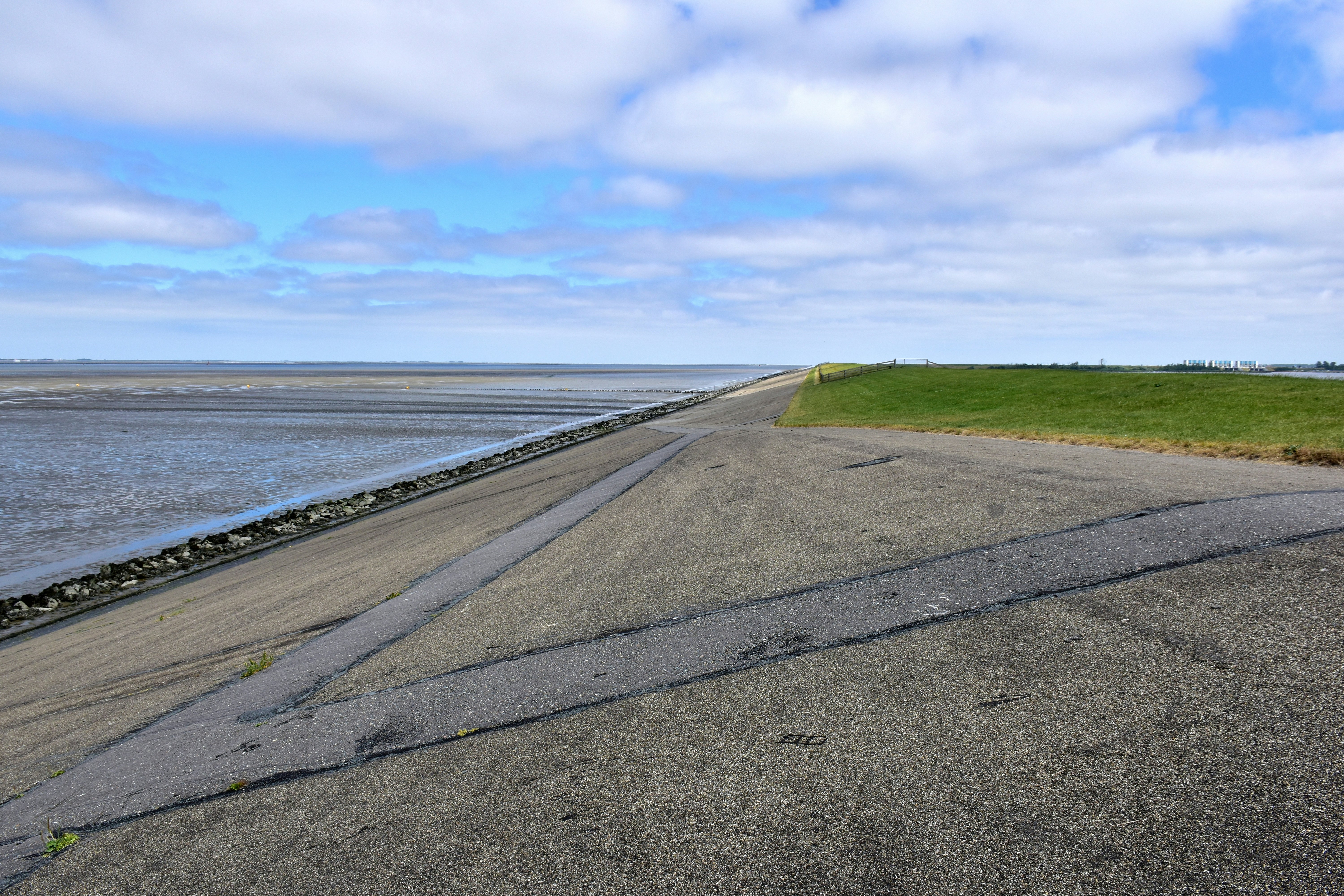 Concrete dike separating sea and grassy field undergrowth