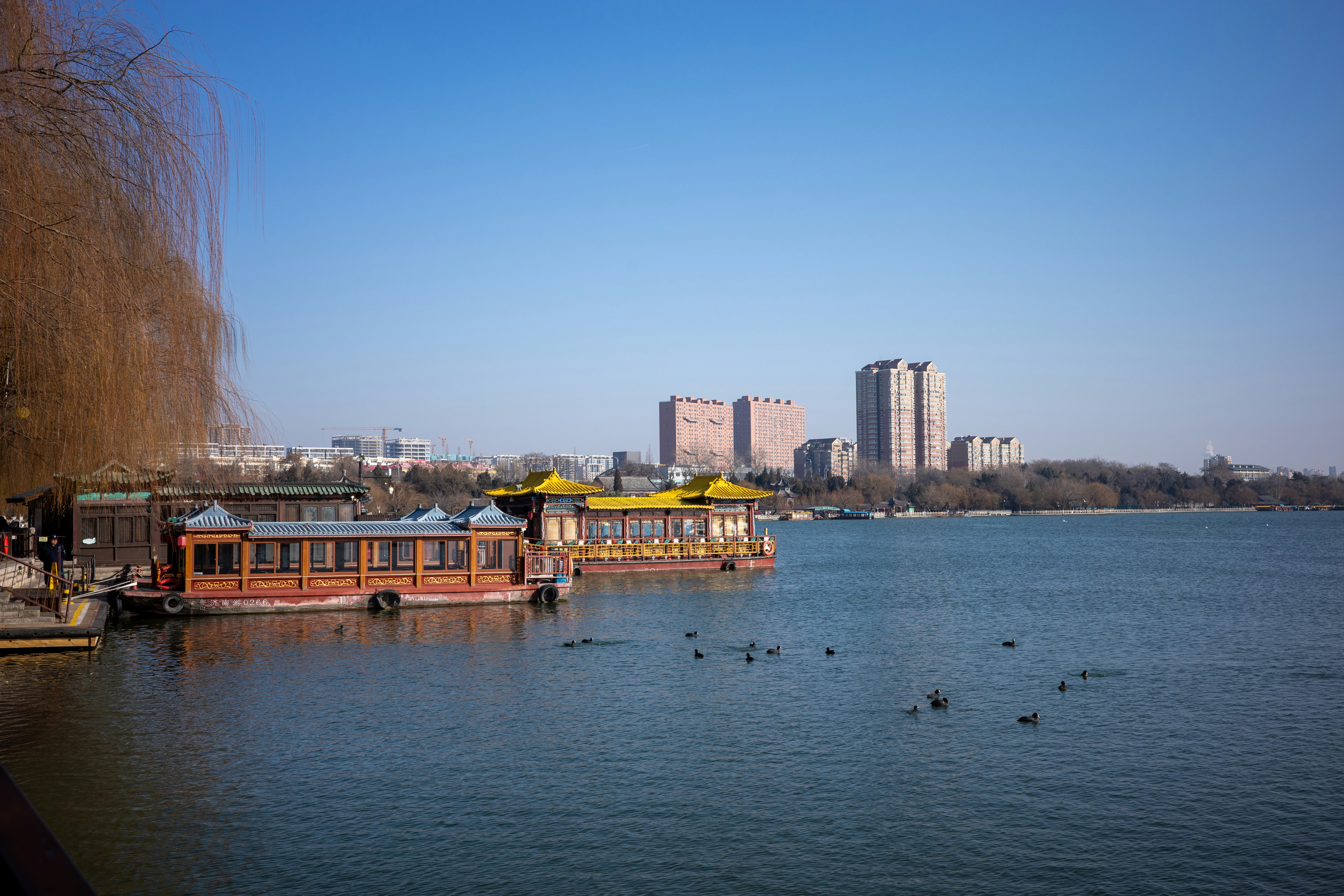 Photo by stevensun01