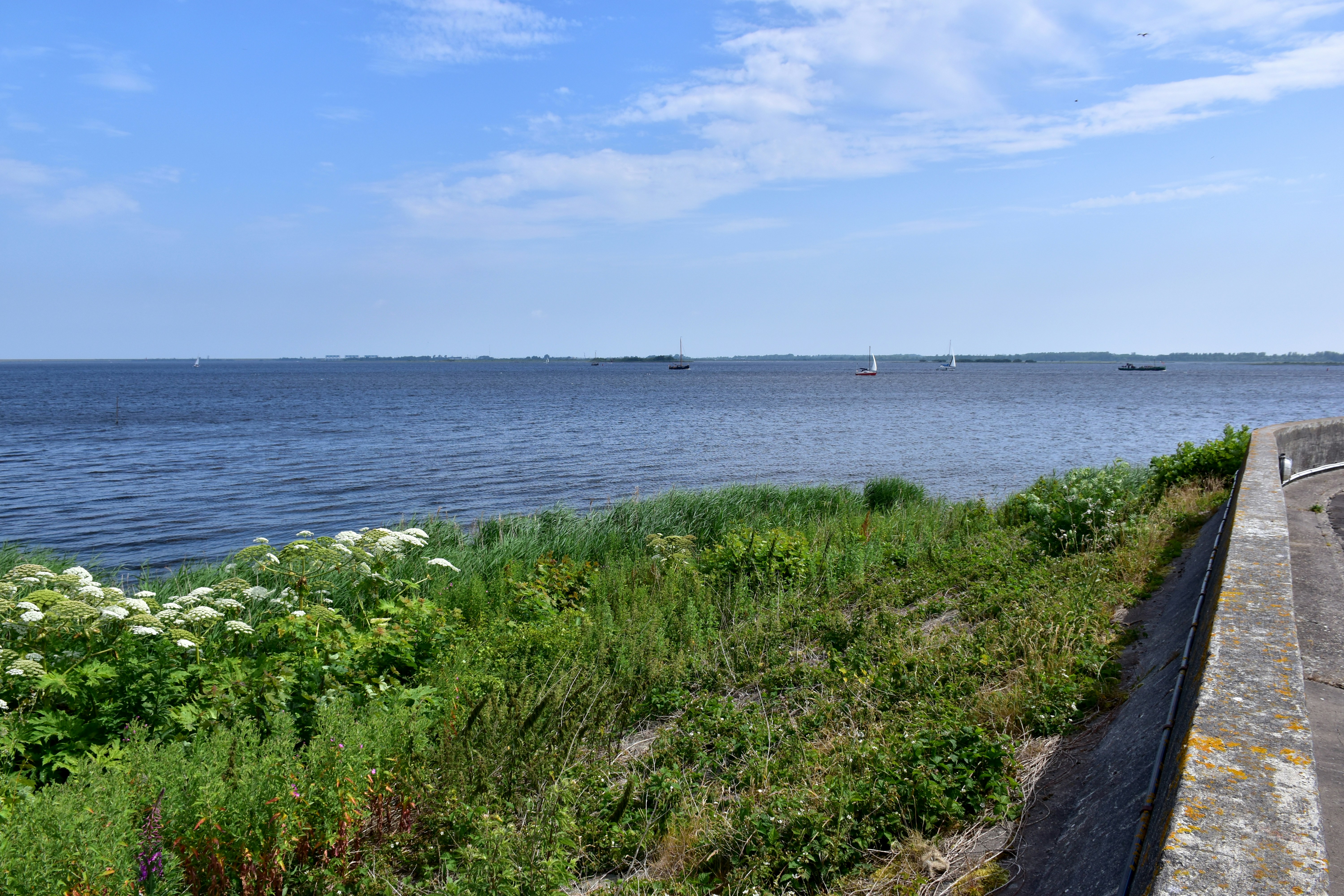 Sailboats on a calm blue lake with green shore.