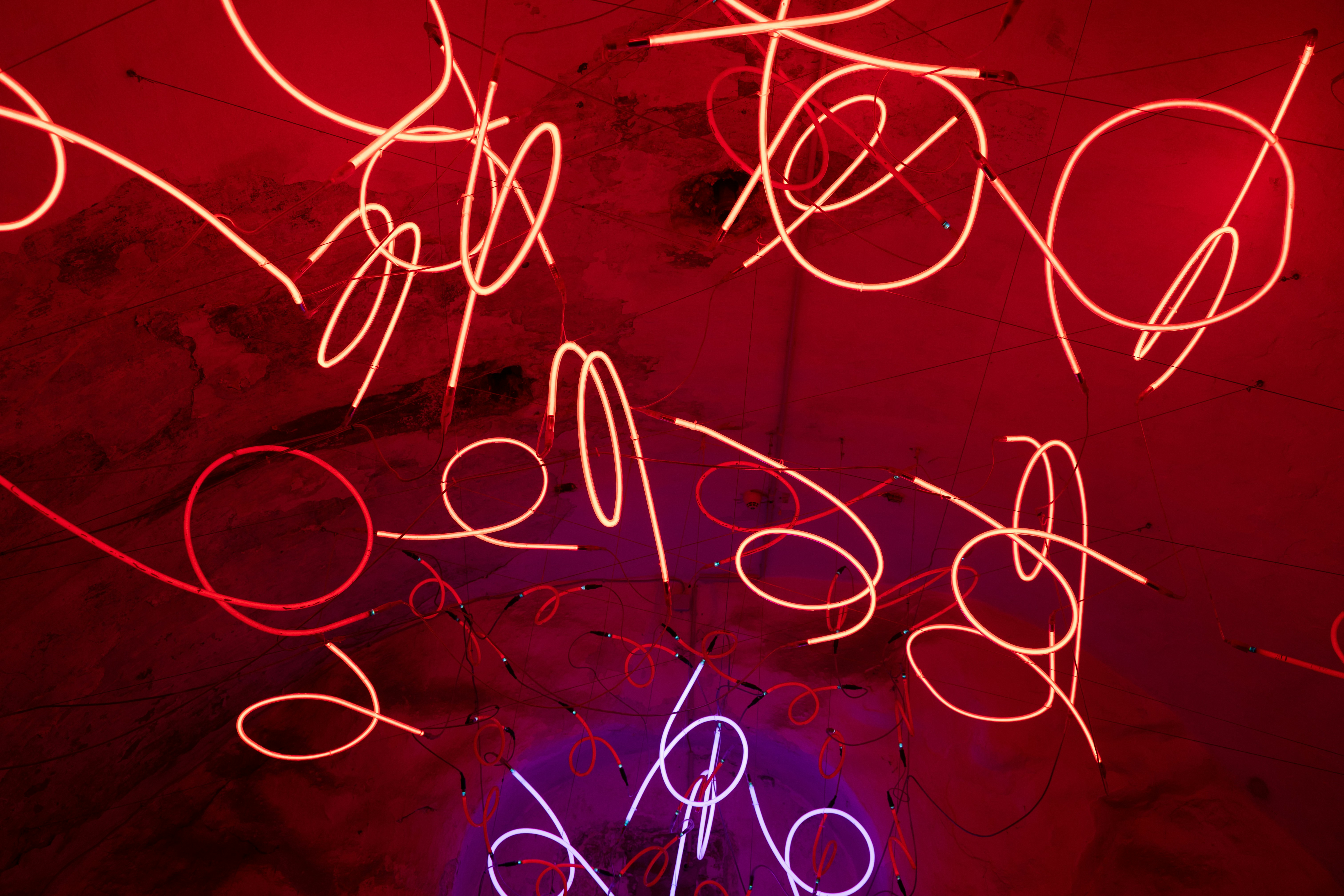 Photo by justmejuliee