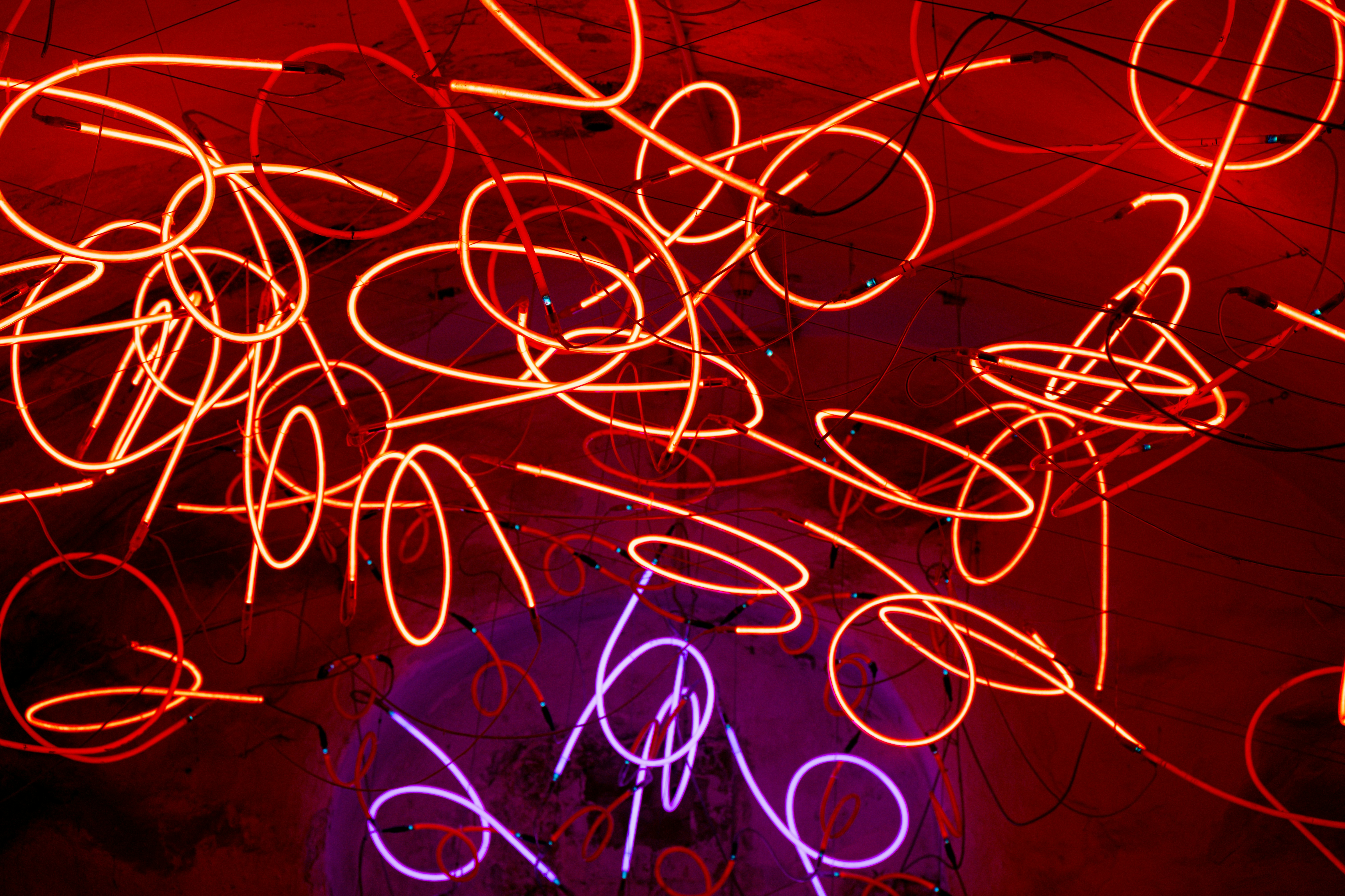 Photo by justmejuliee