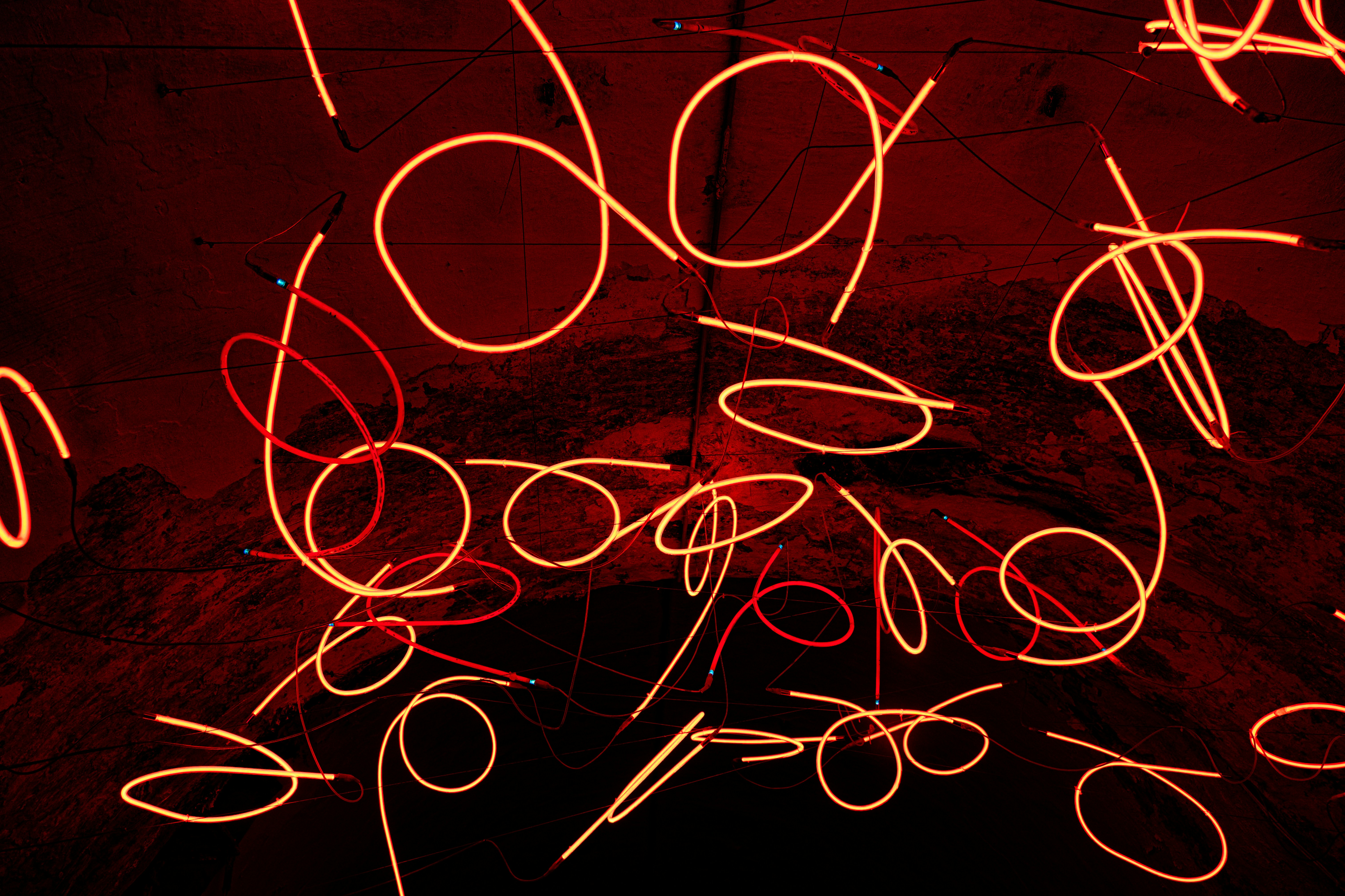 Photo by justmejuliee