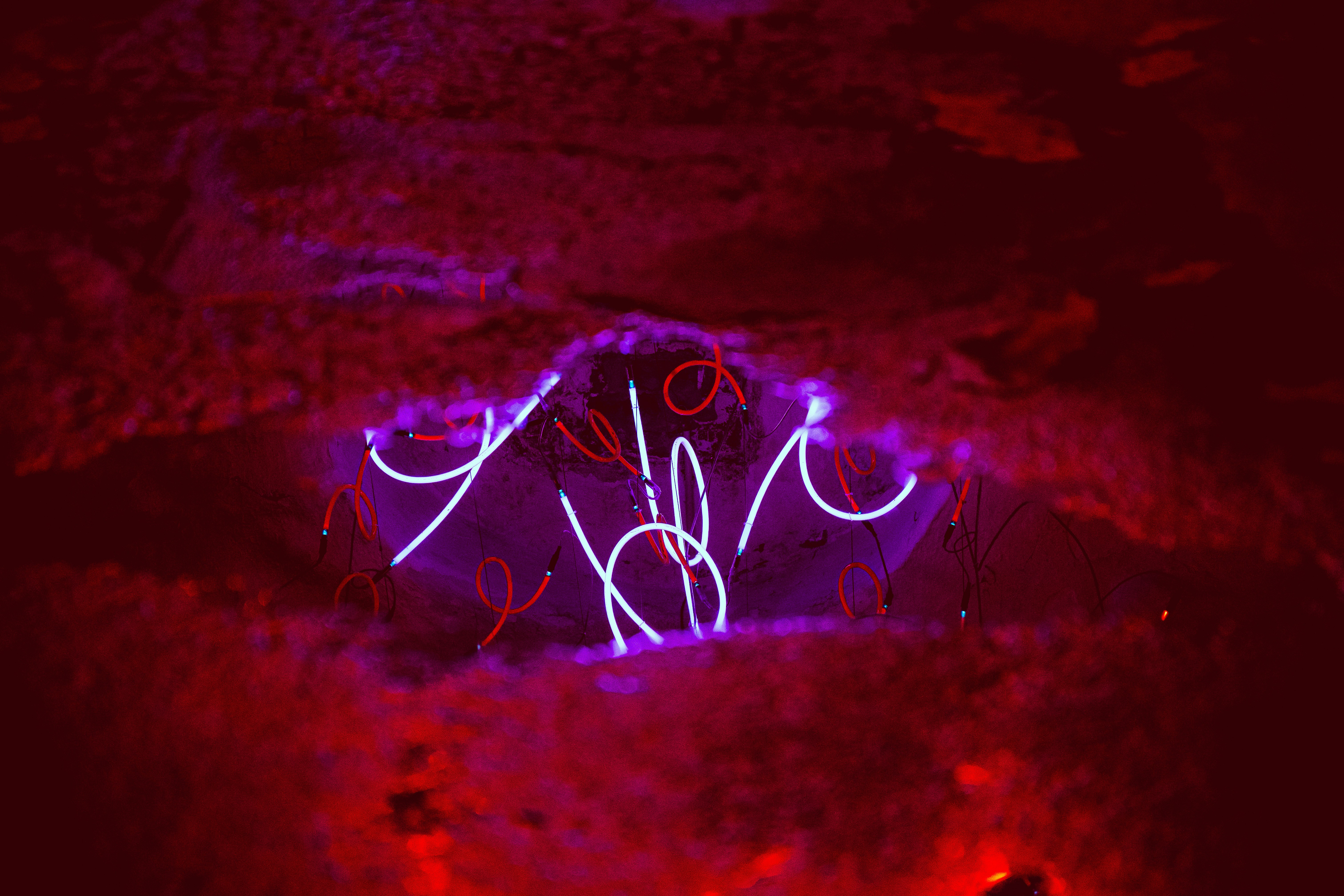 Neon lights forming abstract shapes in dark background