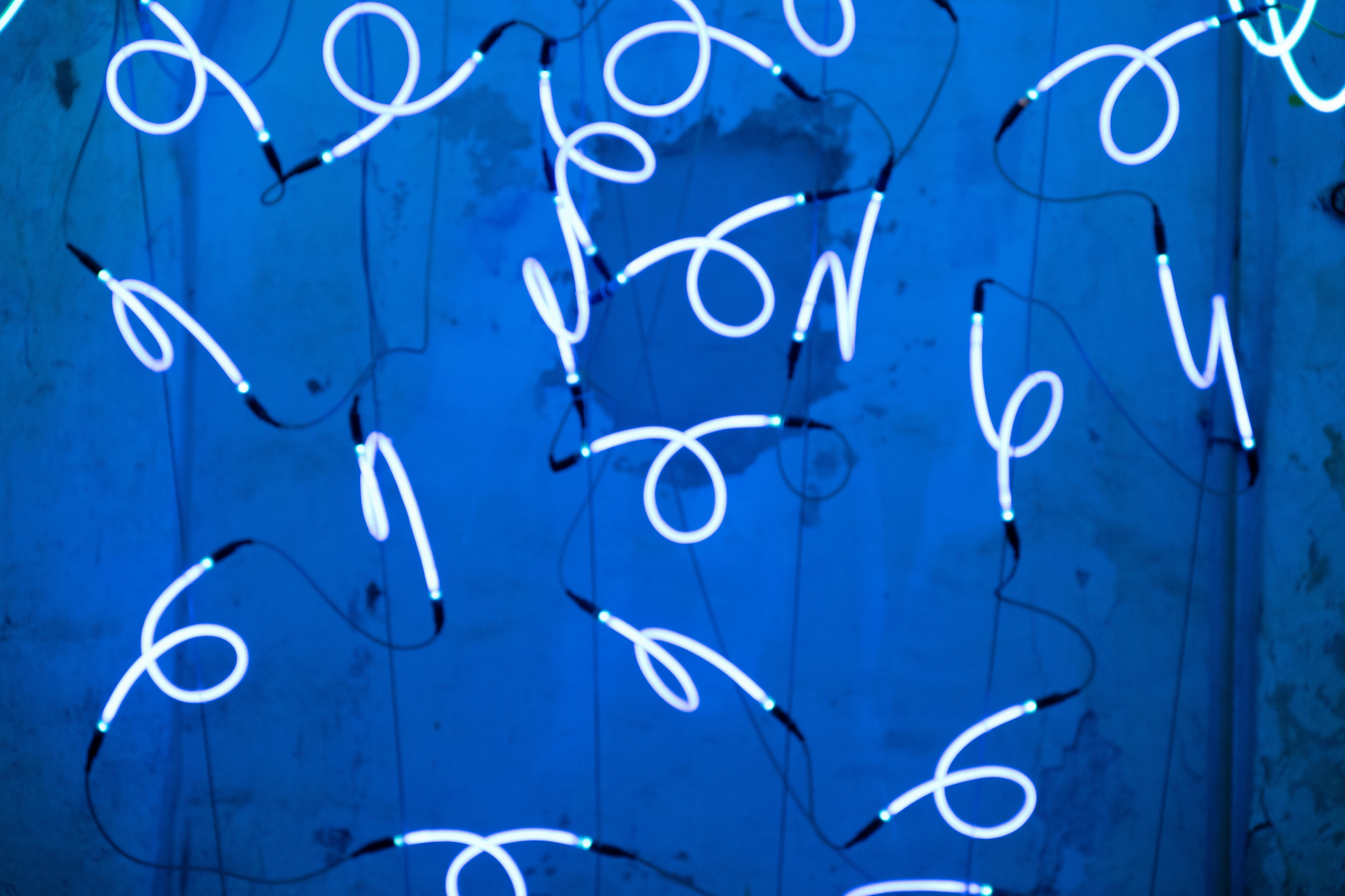 Photo by justmejuliee