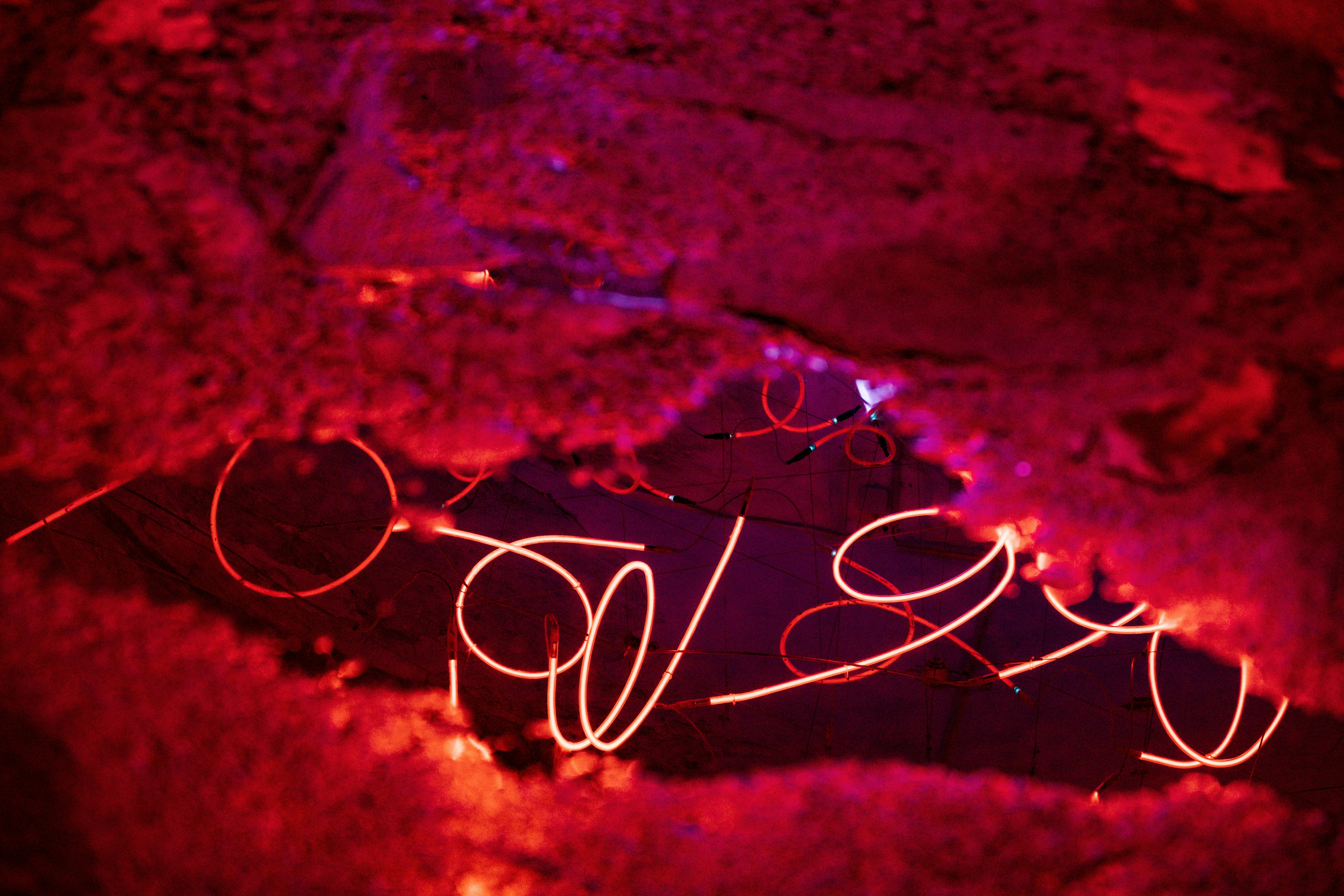 Photo by justmejuliee