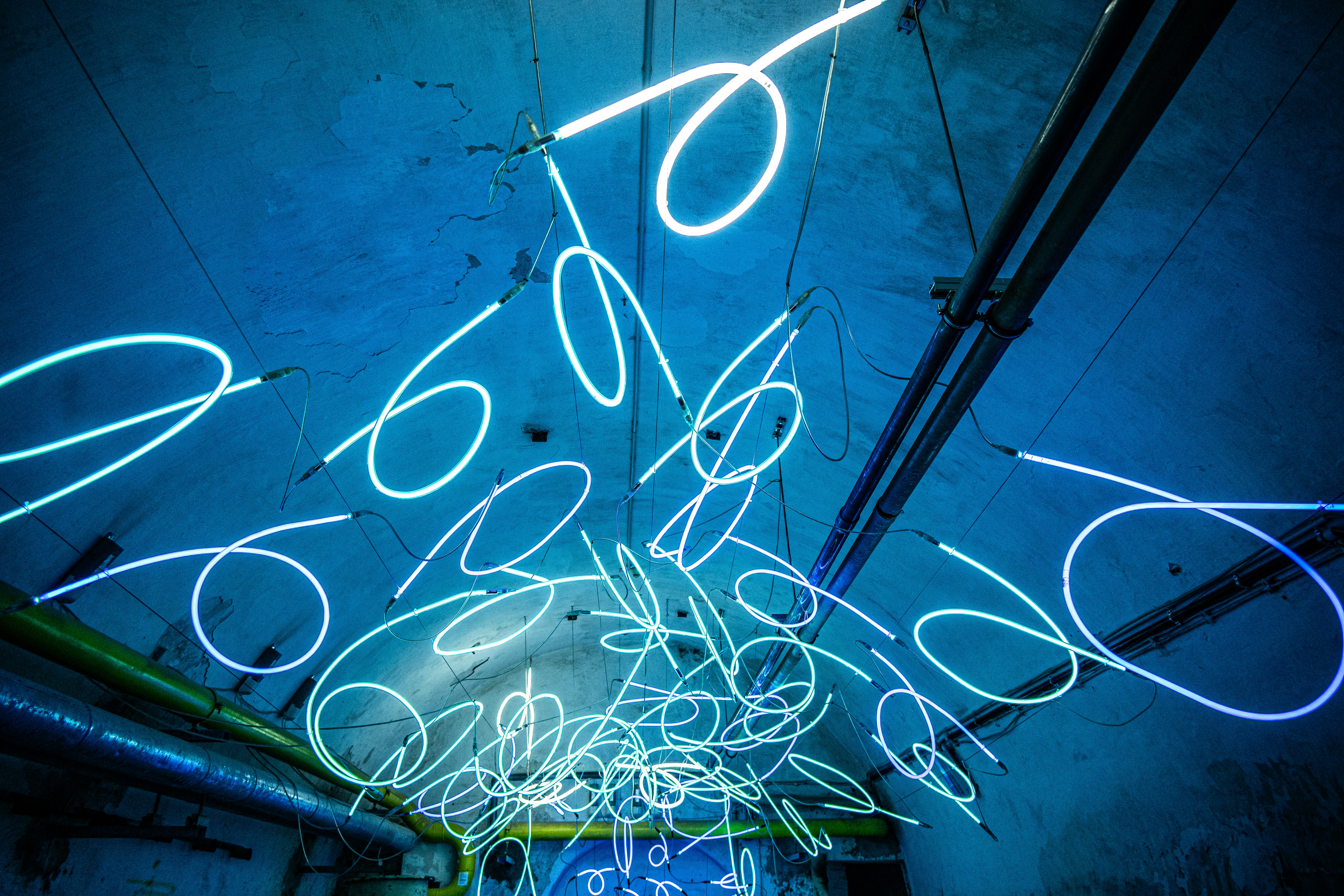 Photo by justmejuliee