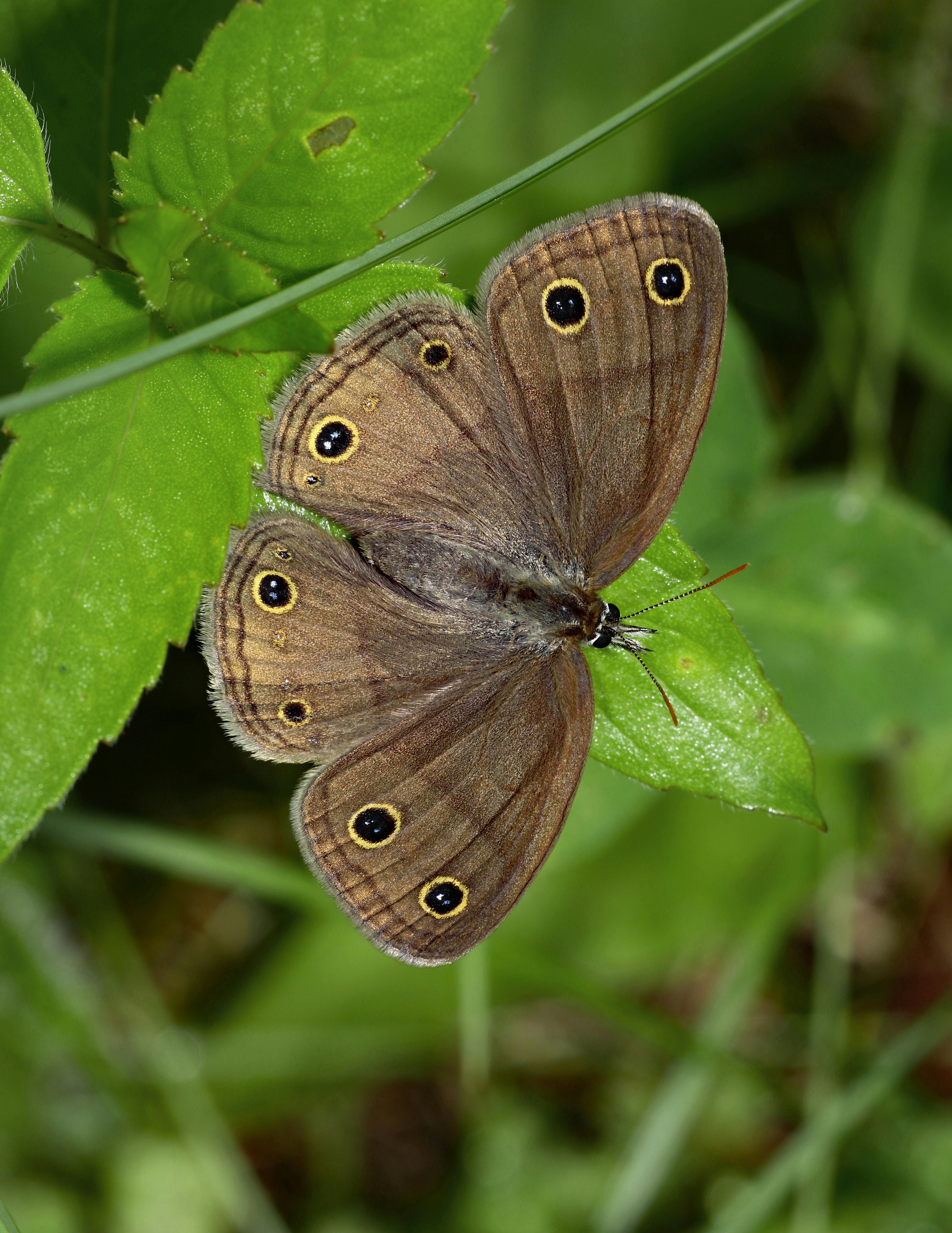 Photo by telliottmbamsc