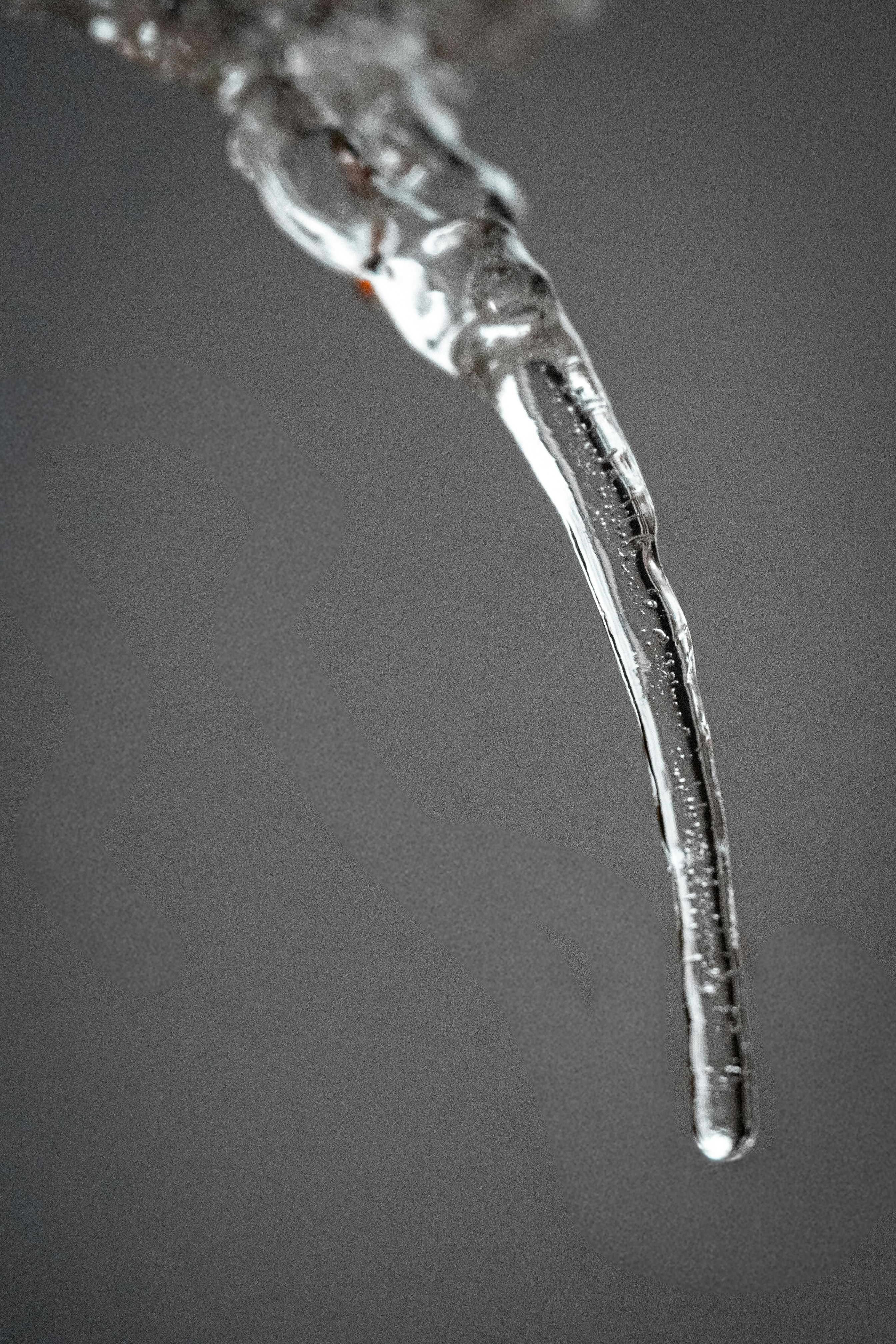 A close-up of a melting icicle in winter.