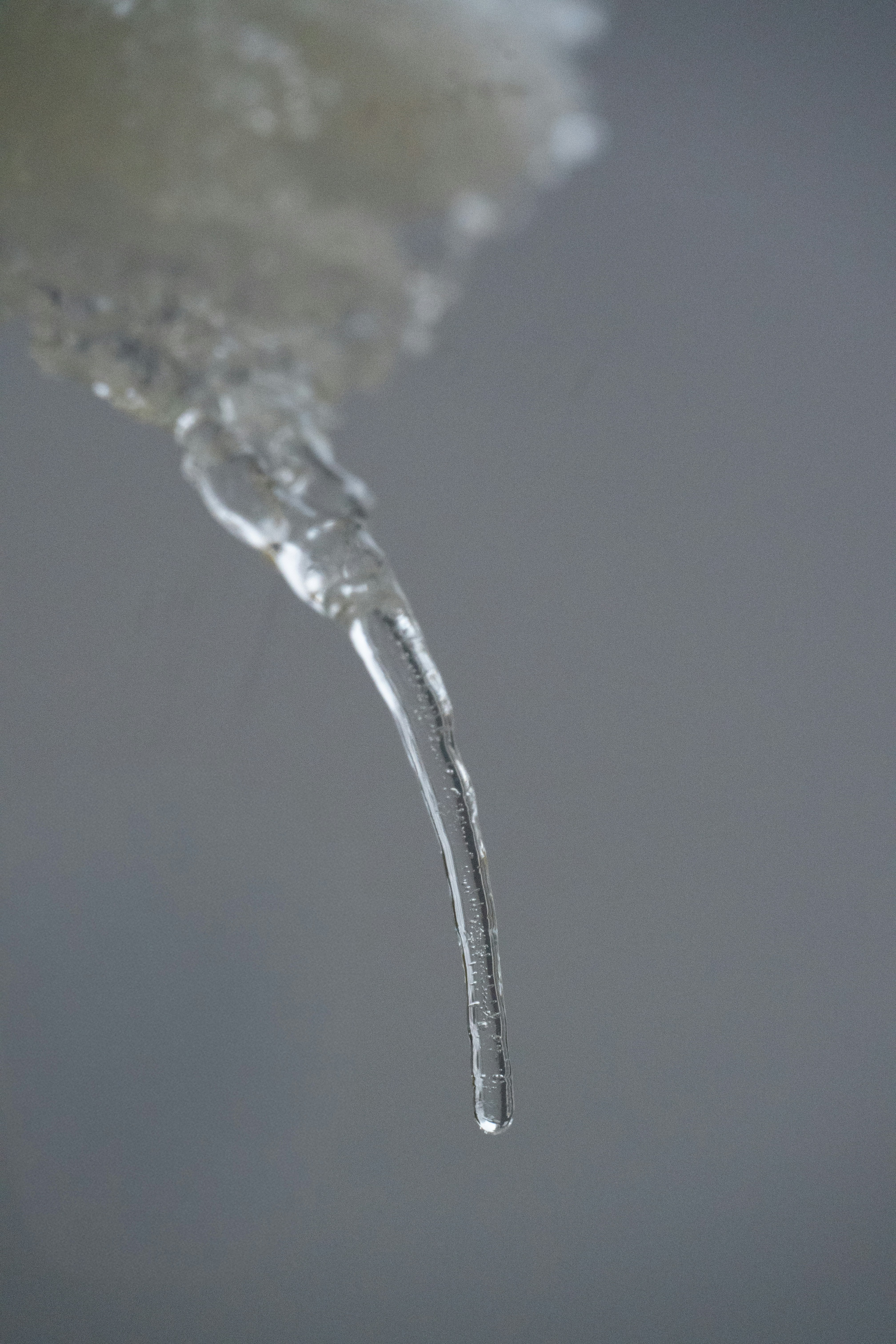 Photo by justmejuliee