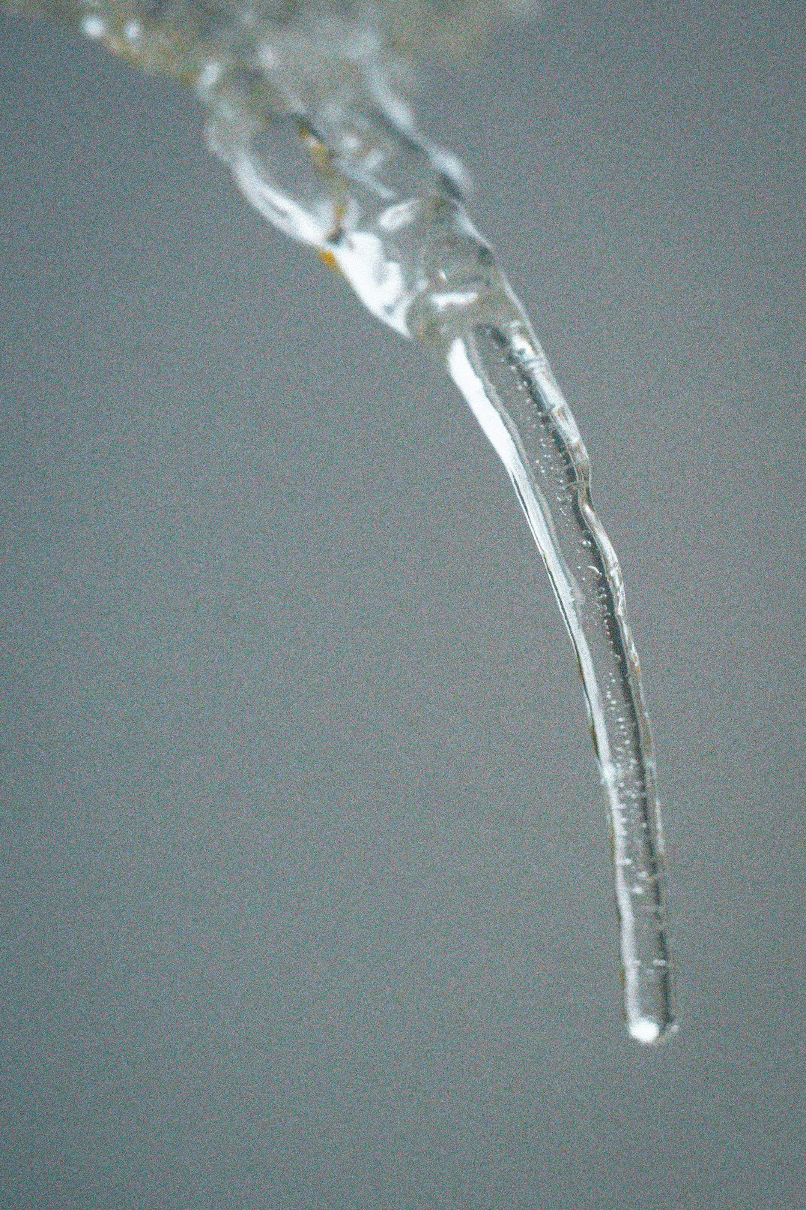 A close-up view of a melting icicle