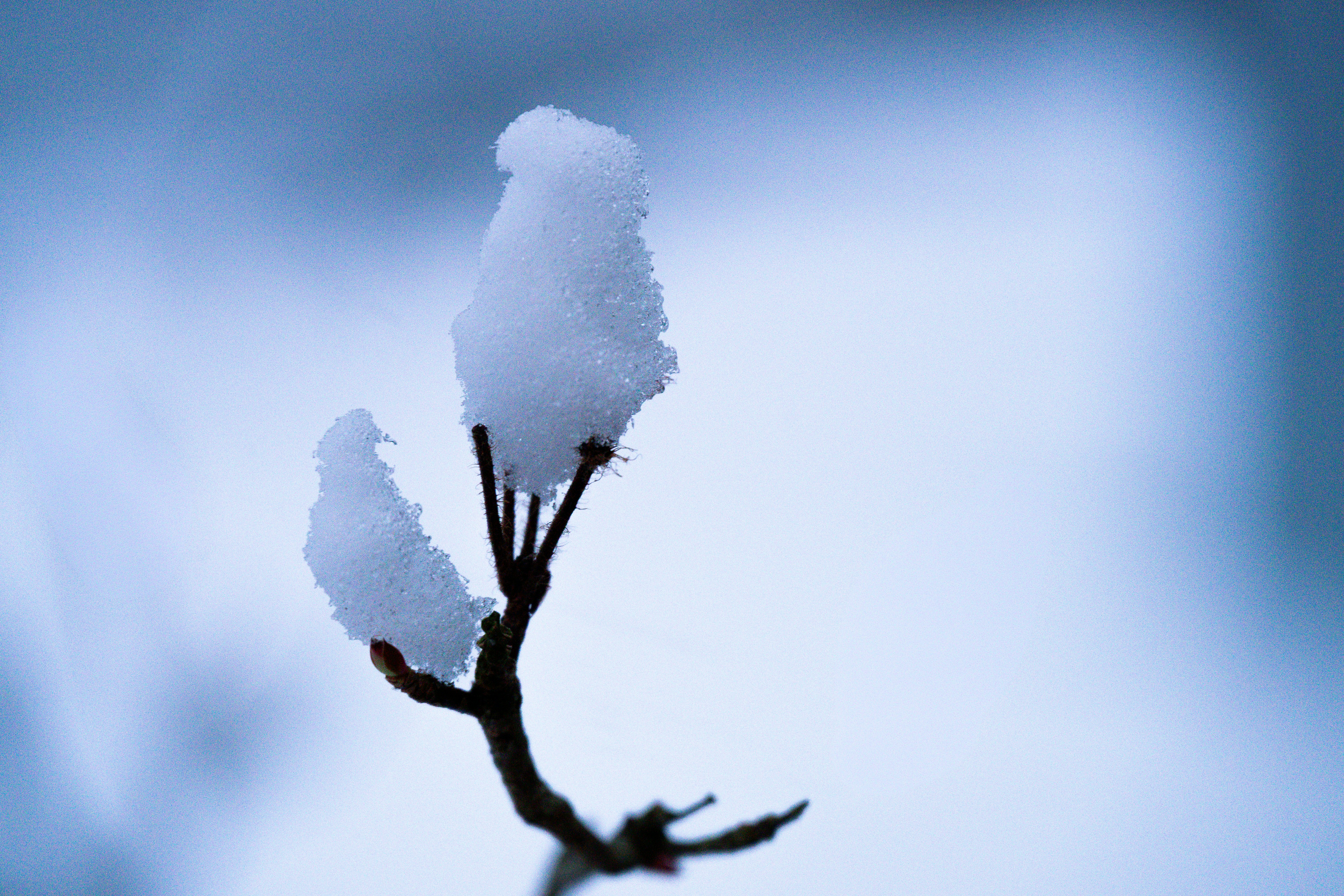 Photo by justmejuliee