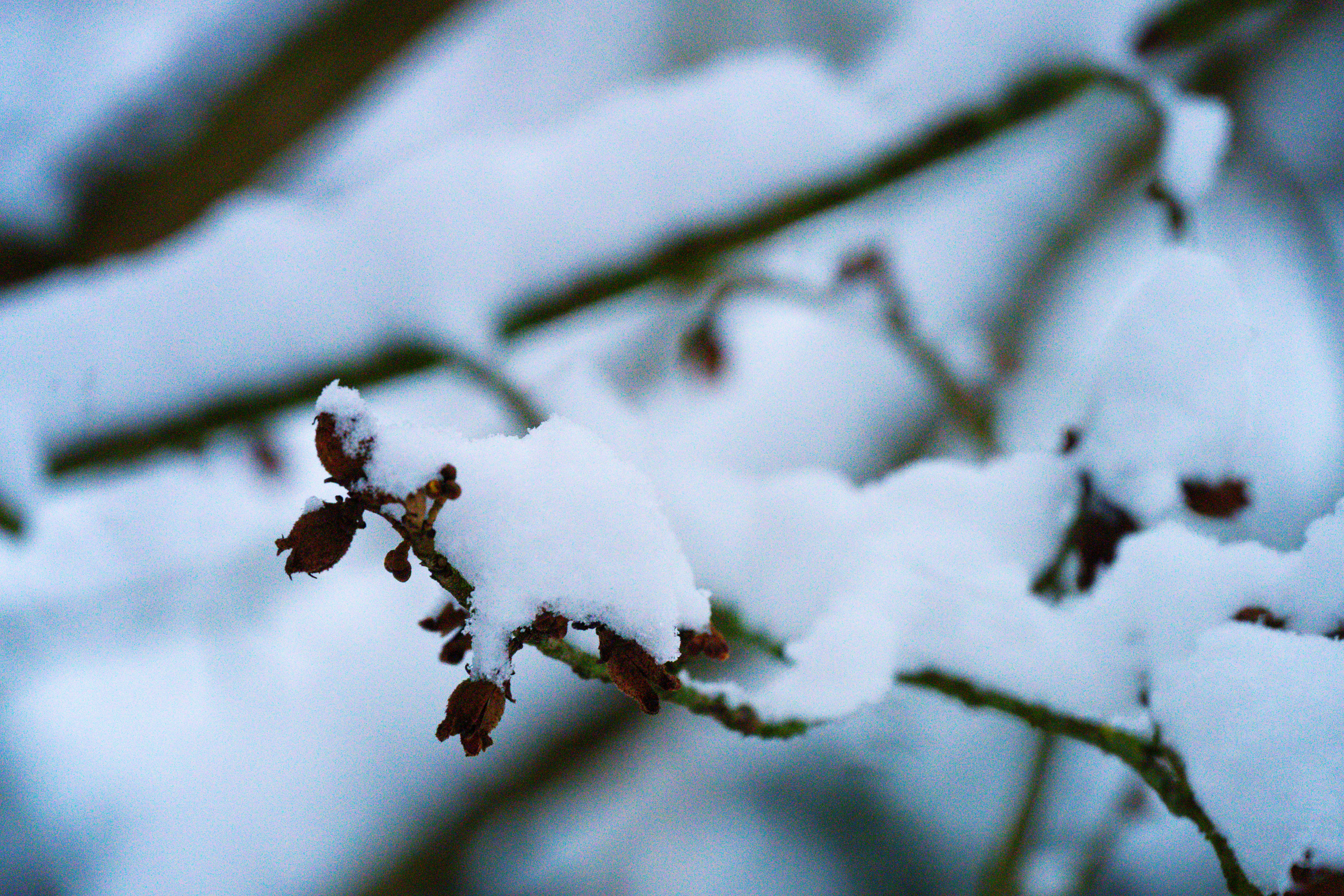 Photo by justmejuliee