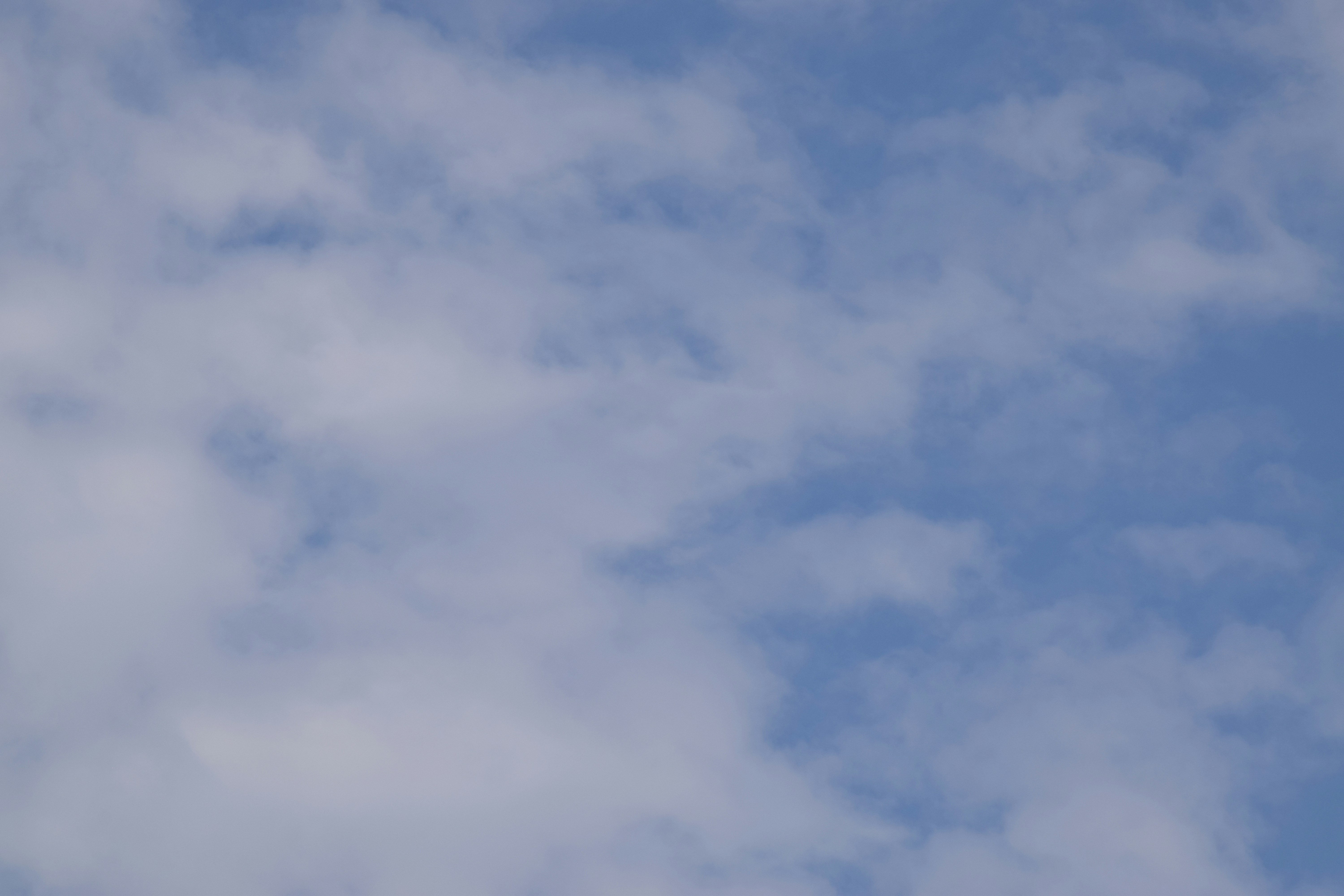 Photo by tonybringas