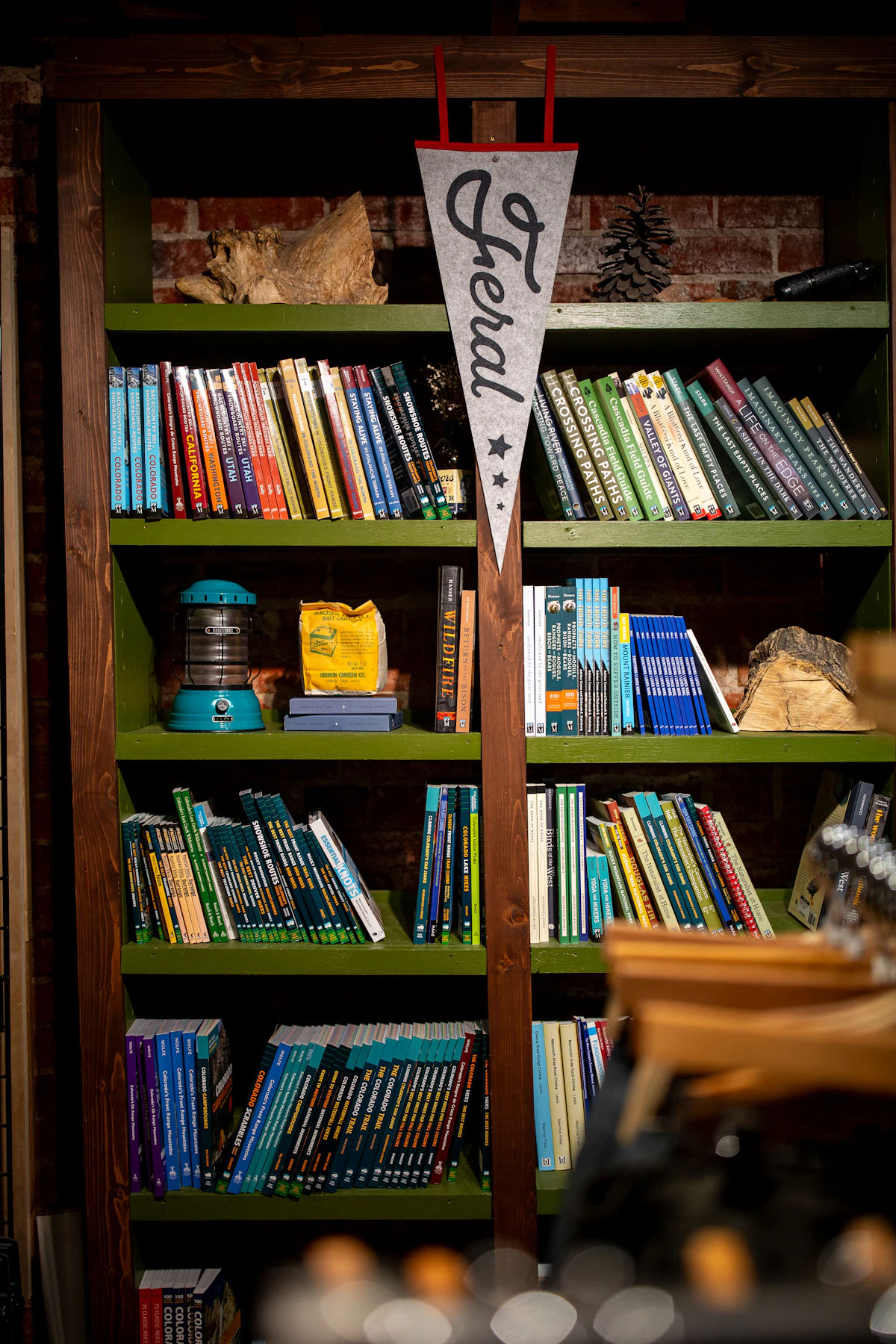 Bookshelves filled with books at a Denver bookshop