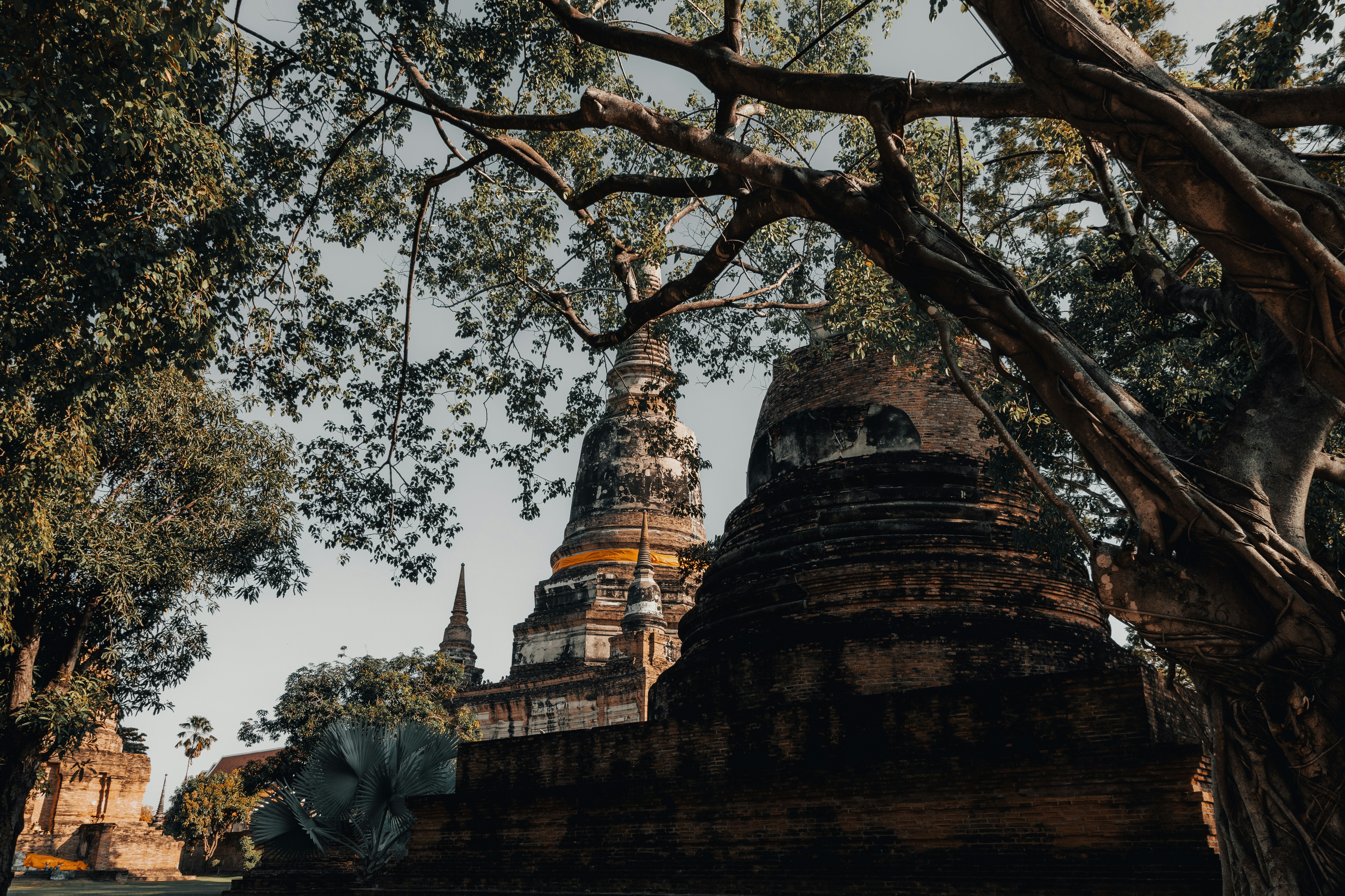 Ancient temple ruins amidst lush green trees