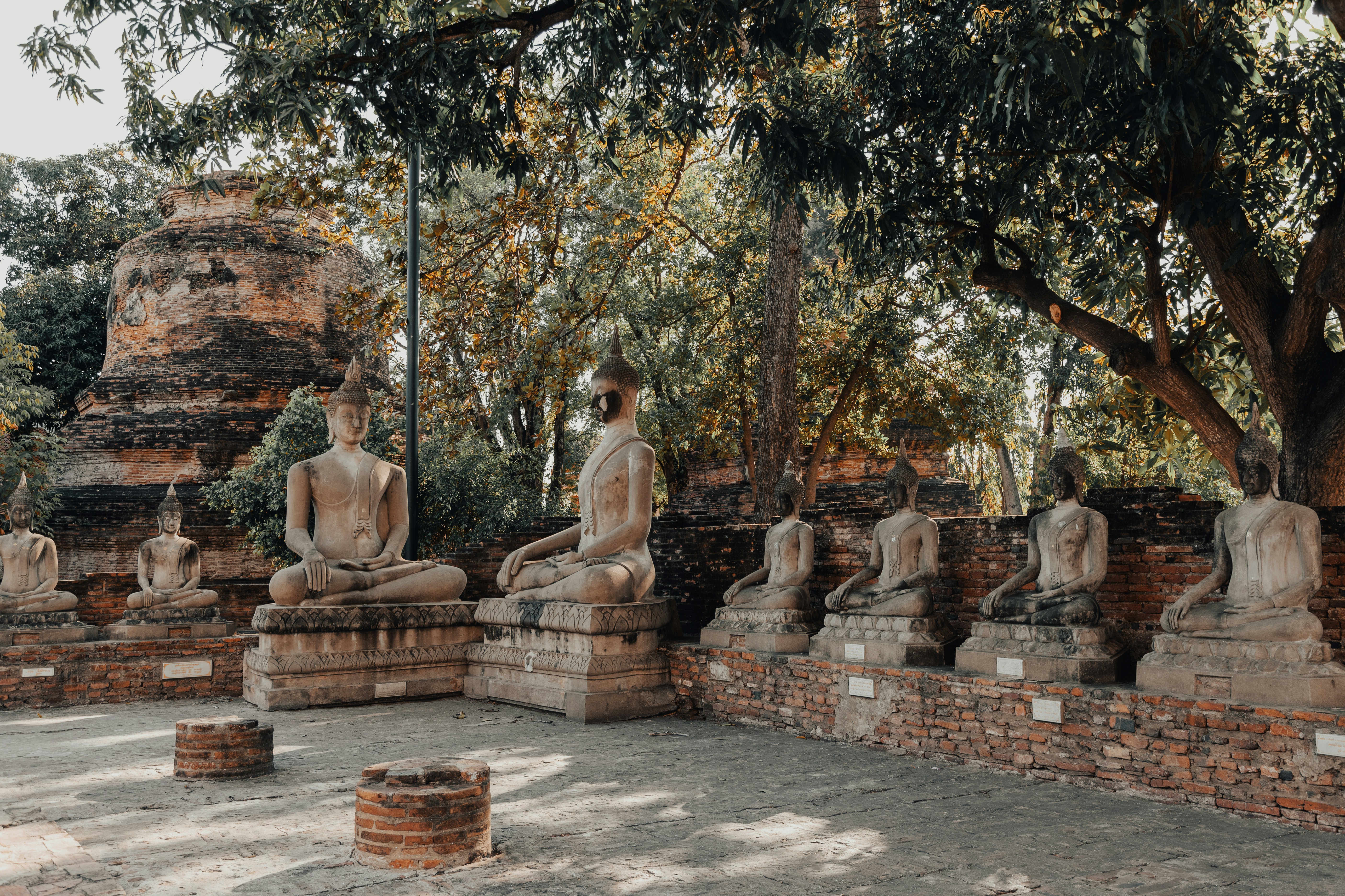 Ancient buddha statues in a serene temple garden.