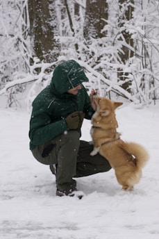 Person and dog playing in the snow