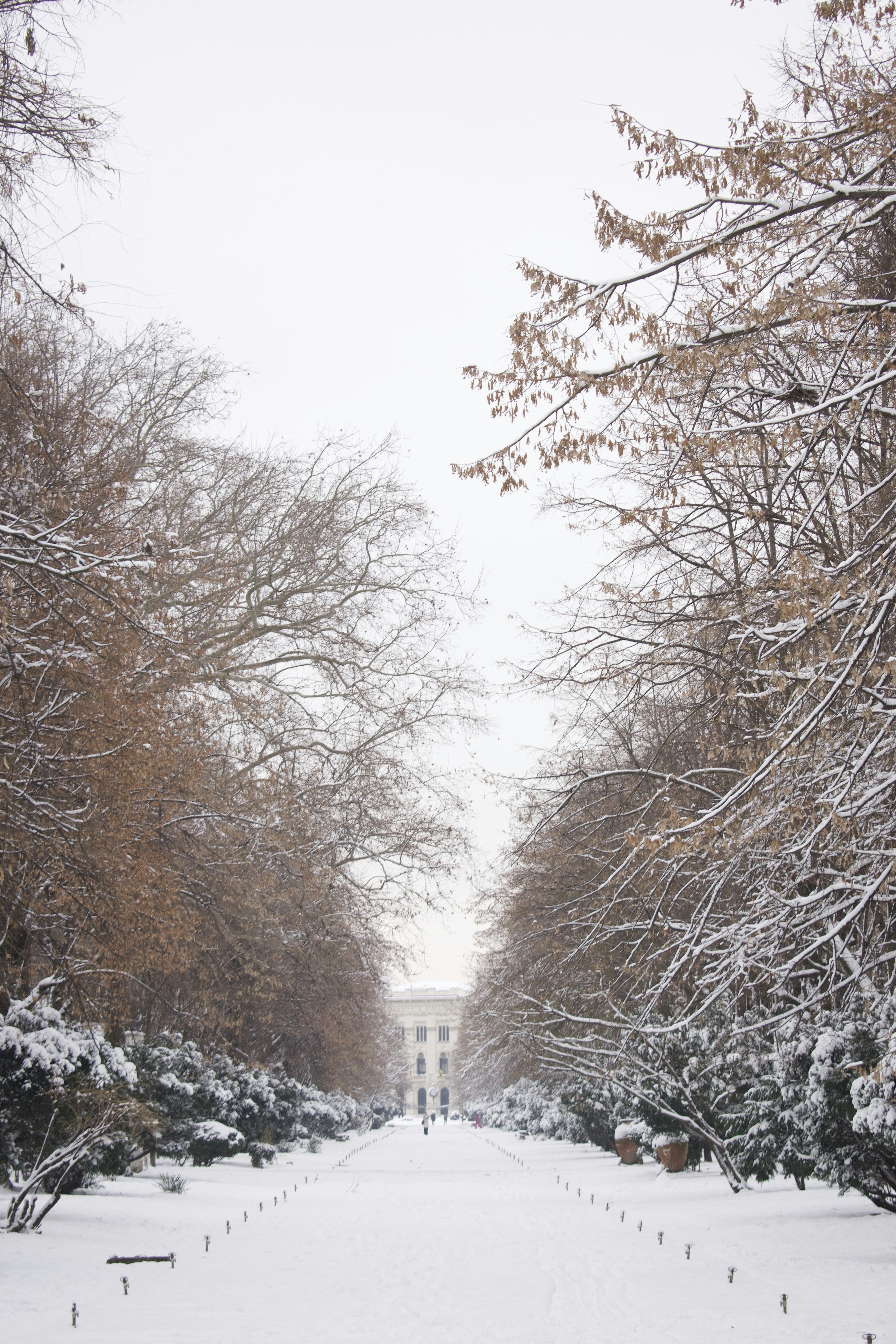Snow covered path leading to a white building.