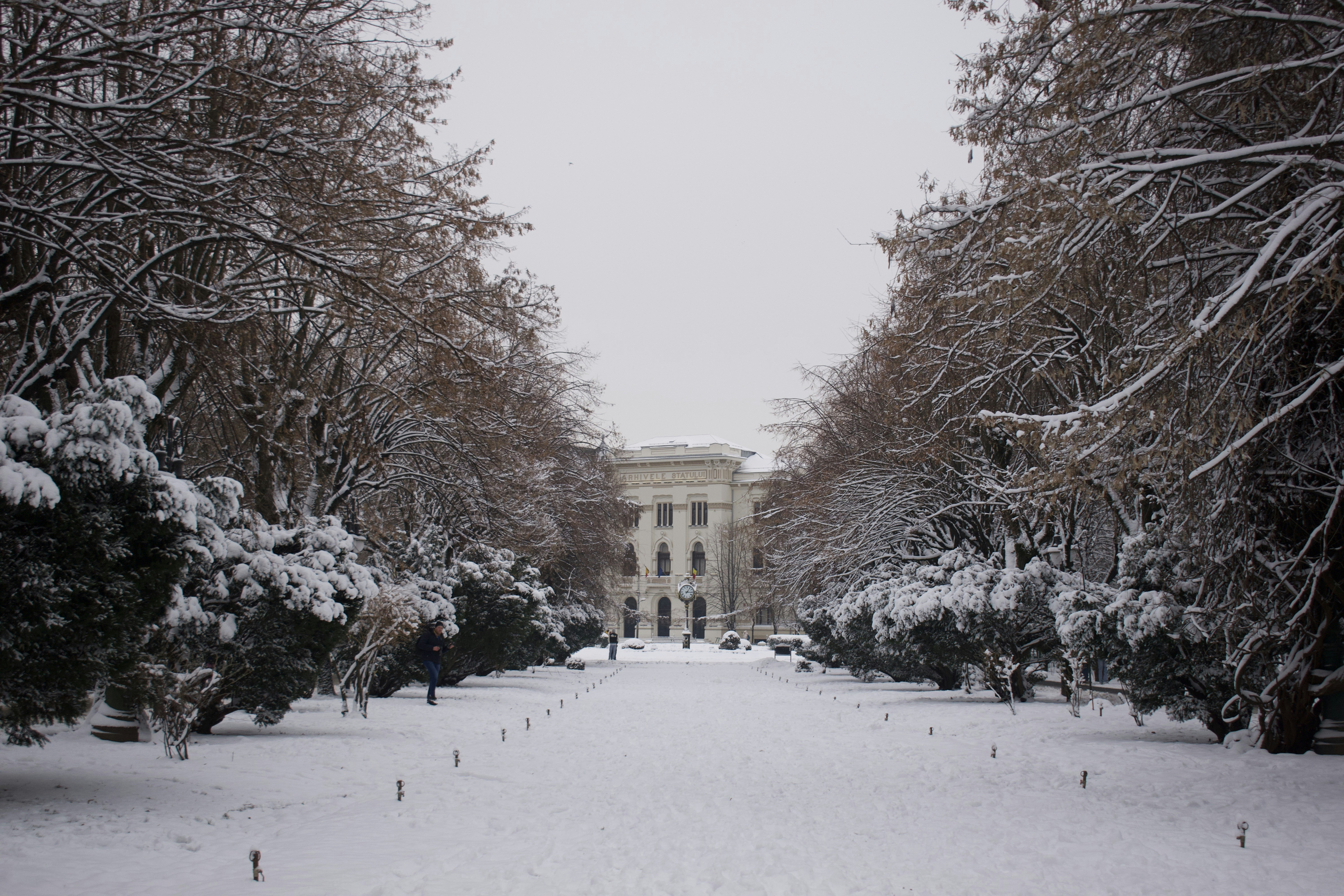 Snow-covered park path leading to a building.