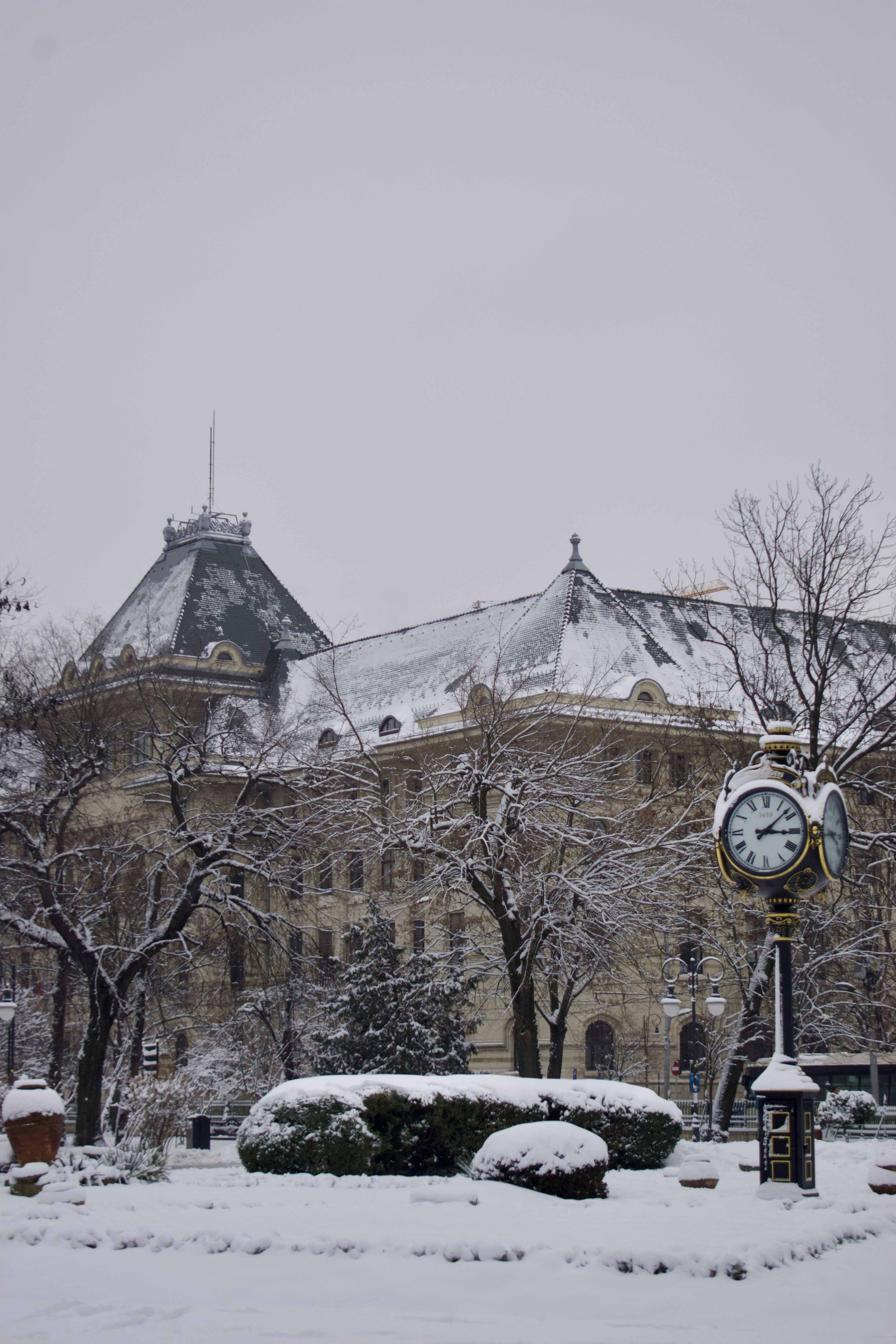 A building with snow-covered trees and a clock.