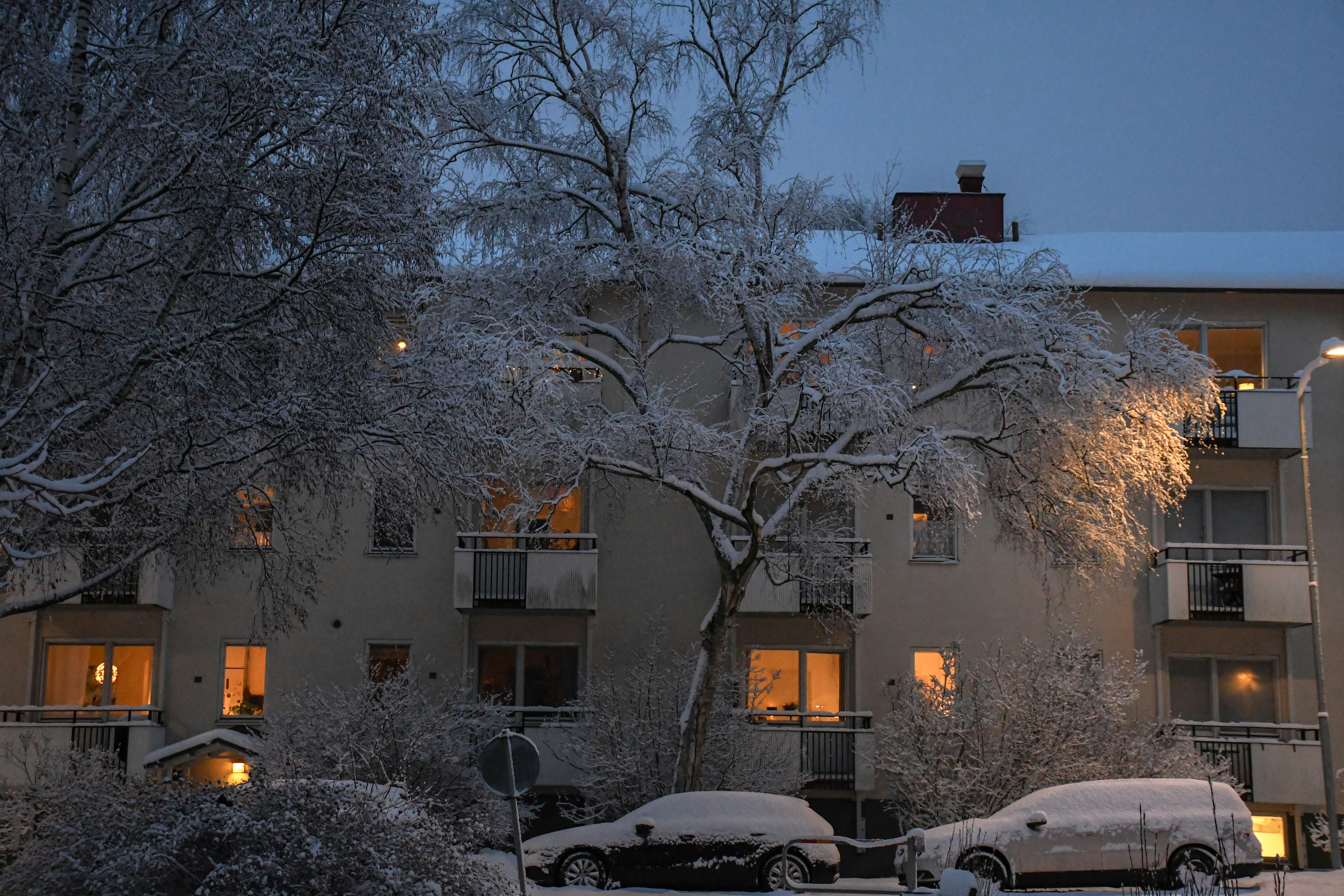 Apartment building with snow-covered trees and cars.