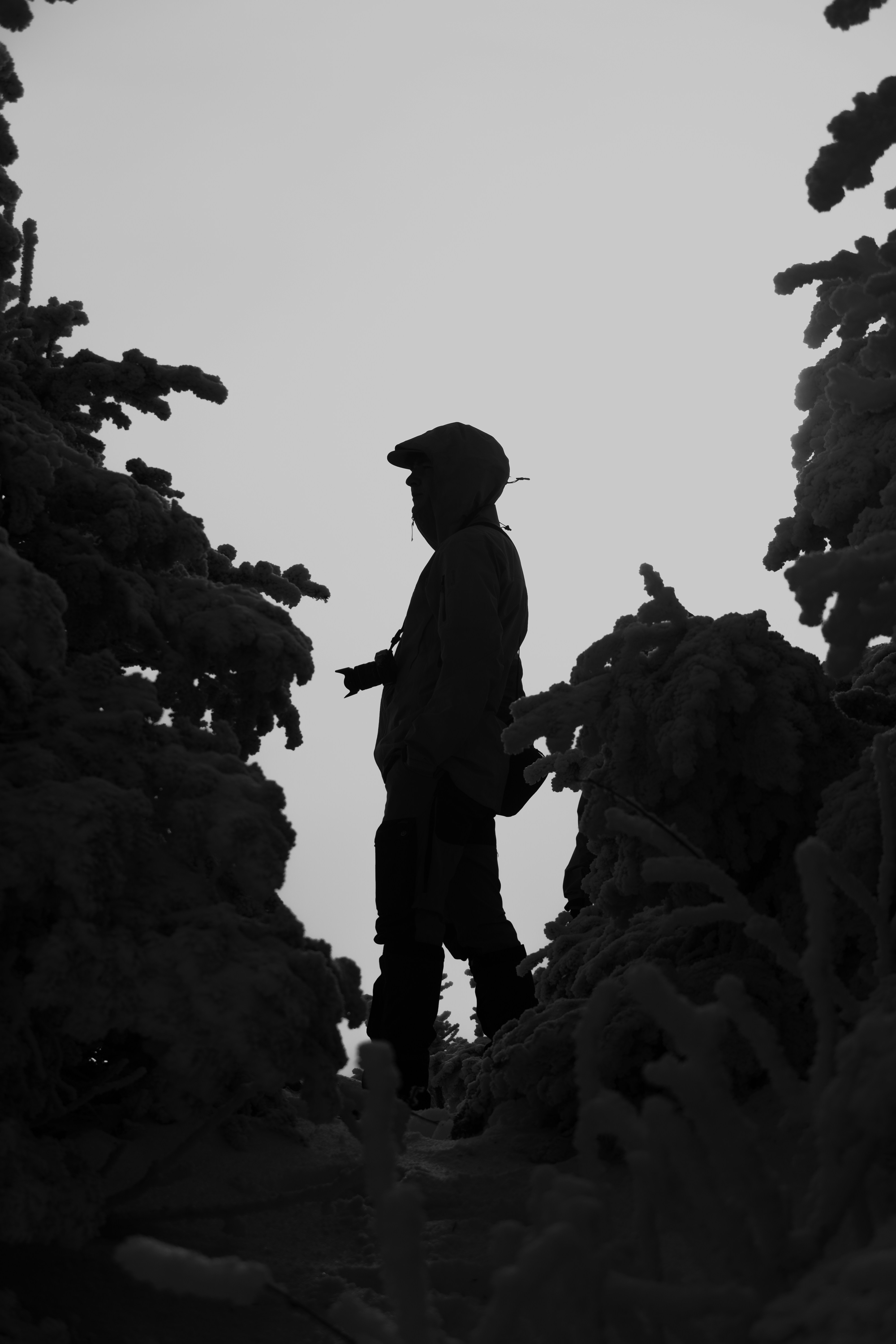 Photo by tog_photography