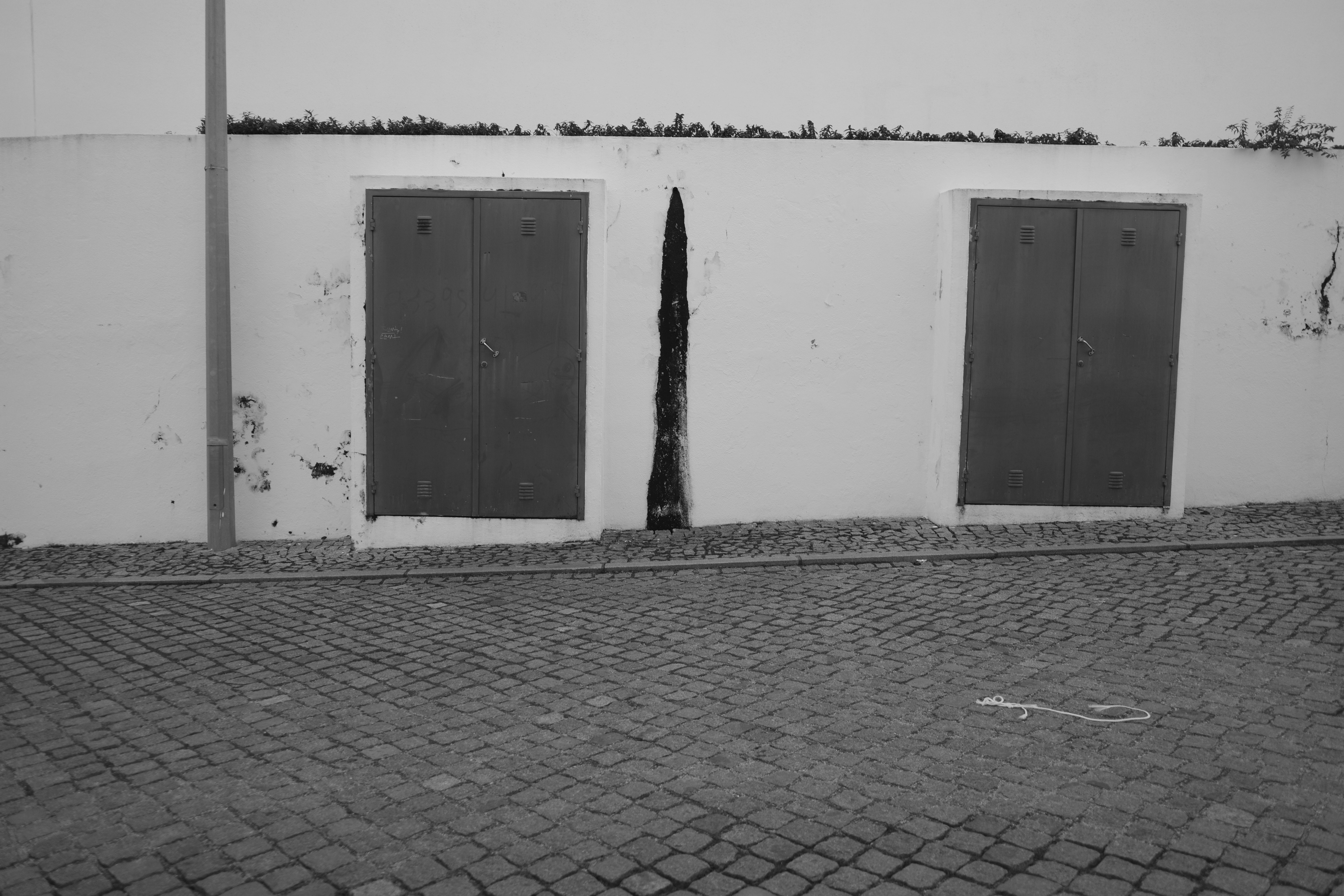 Two doors on a white wall with a crack