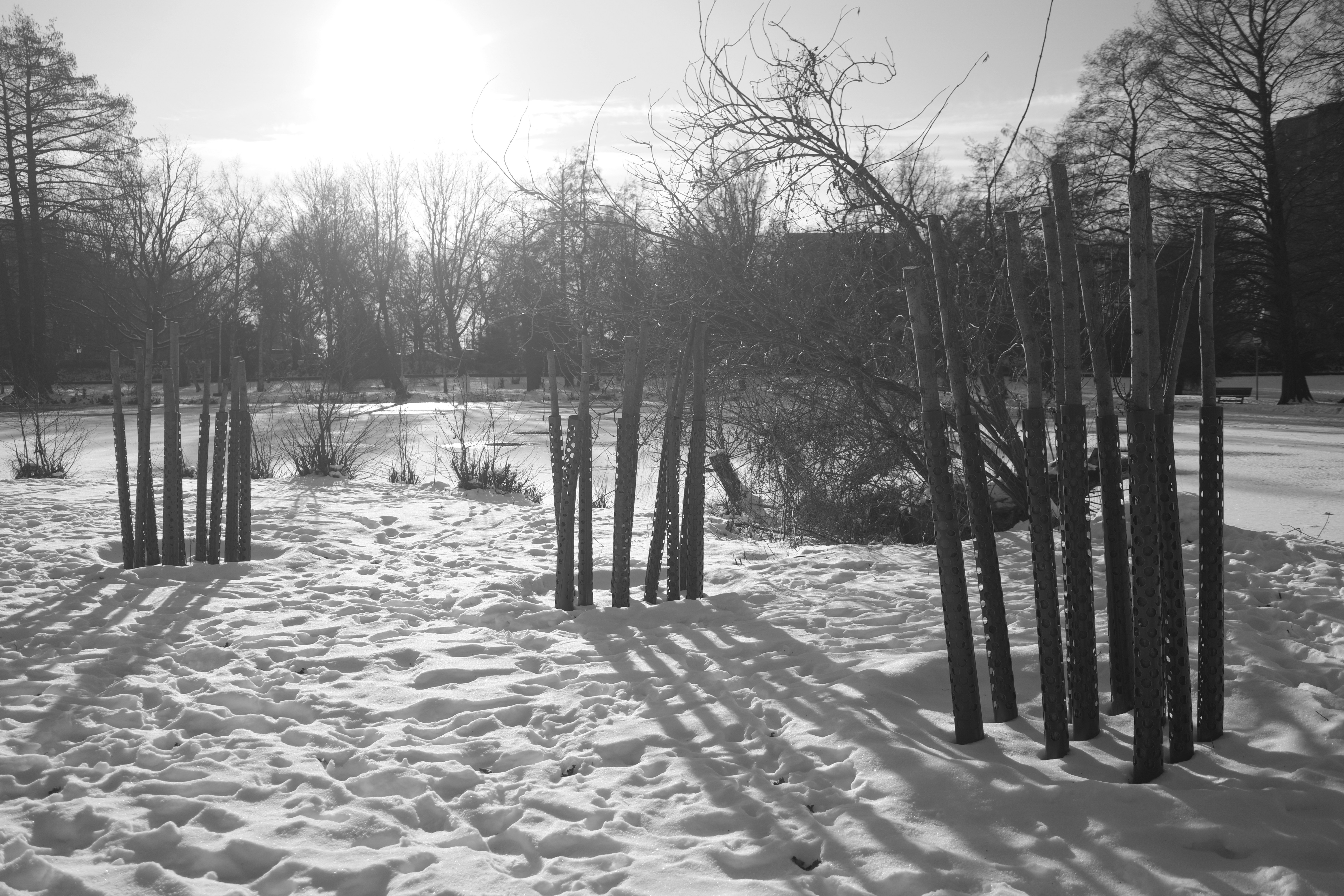 Bare trees and wooden posts in snowy landscape
