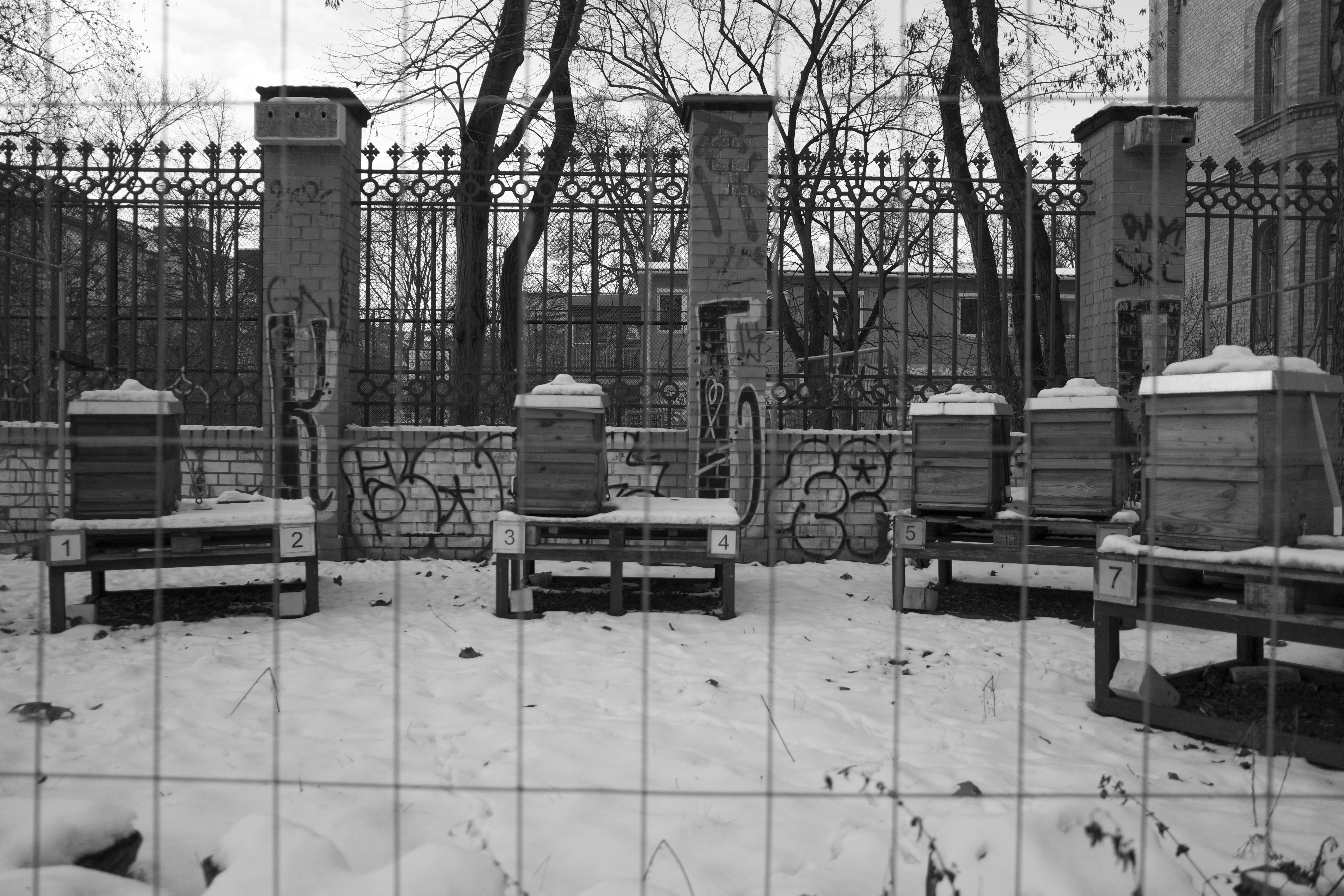 Beehives set up in a snowy courtyard.