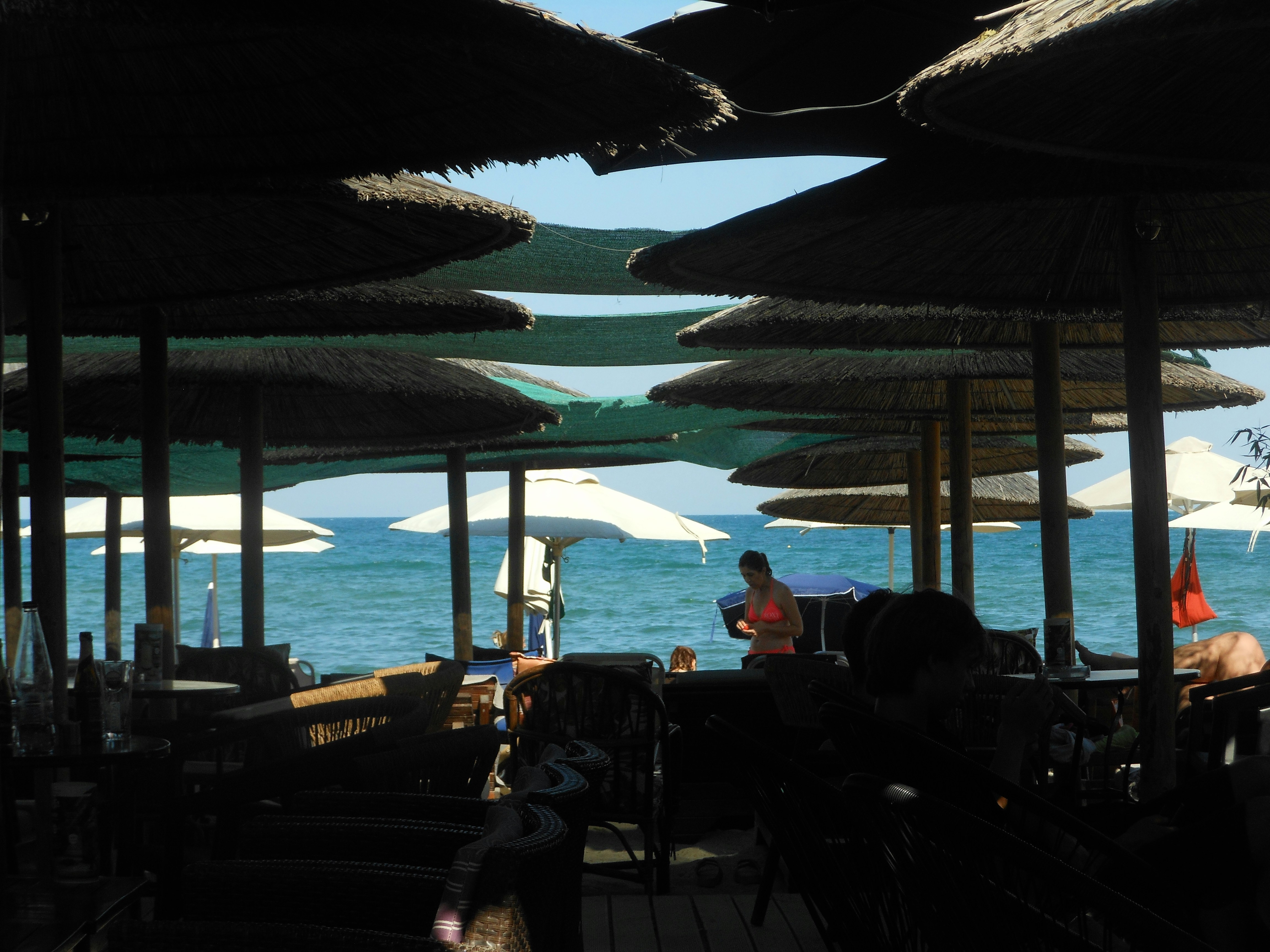 Photo by sergant_cat