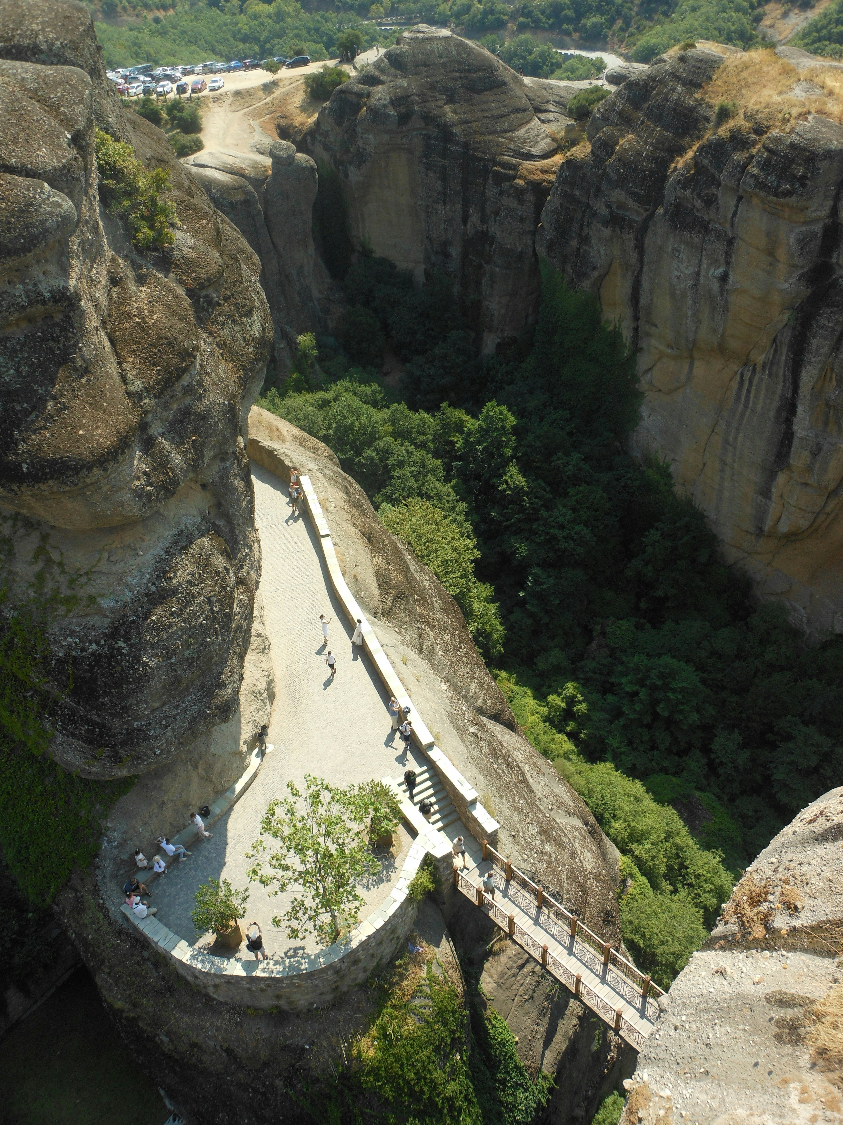 Photo by sergant_cat