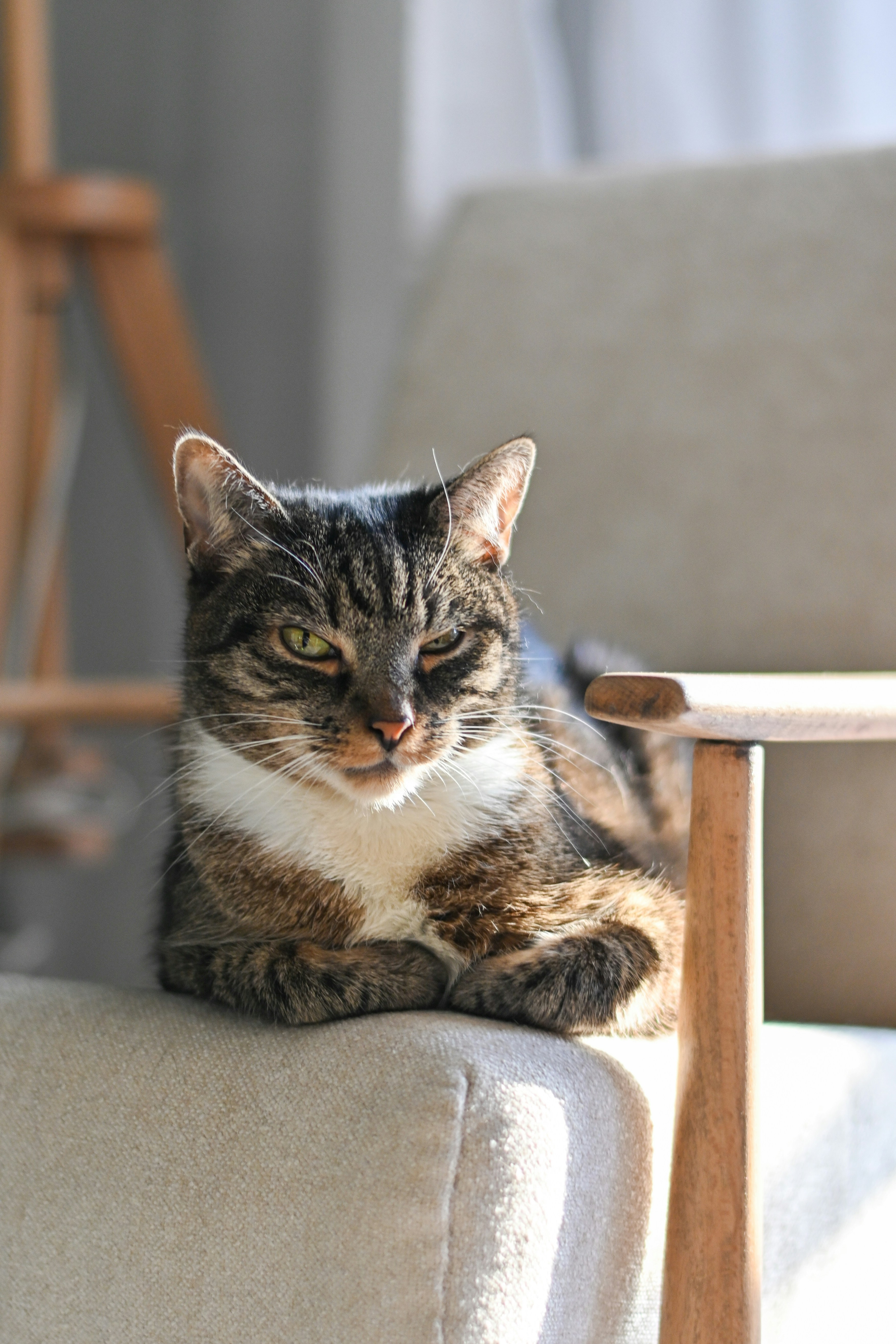 Photo by sylwiabartyzel