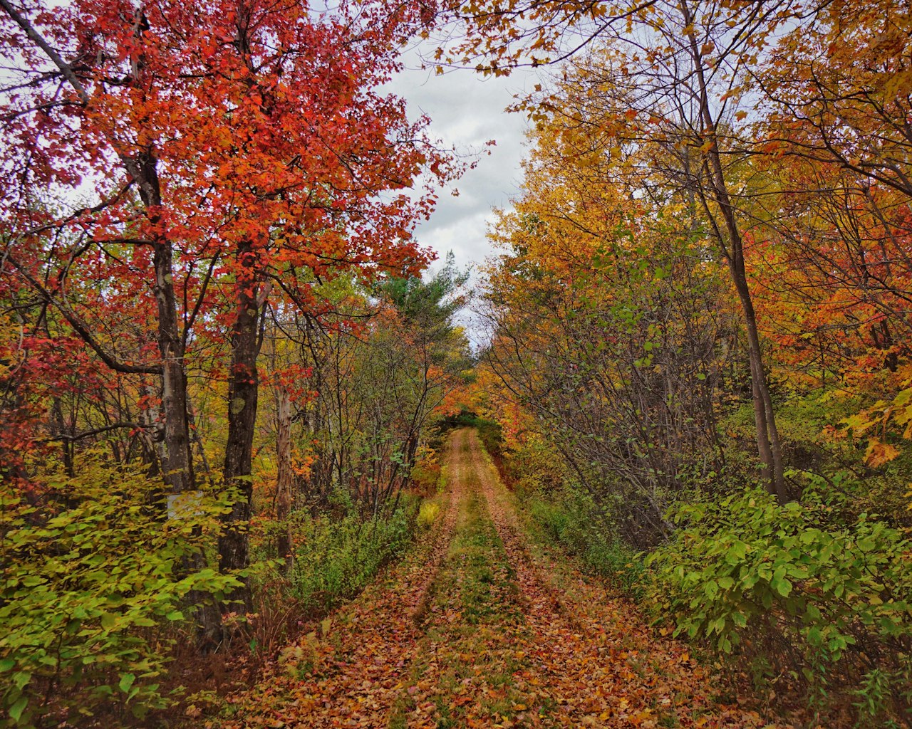 North Stonington
