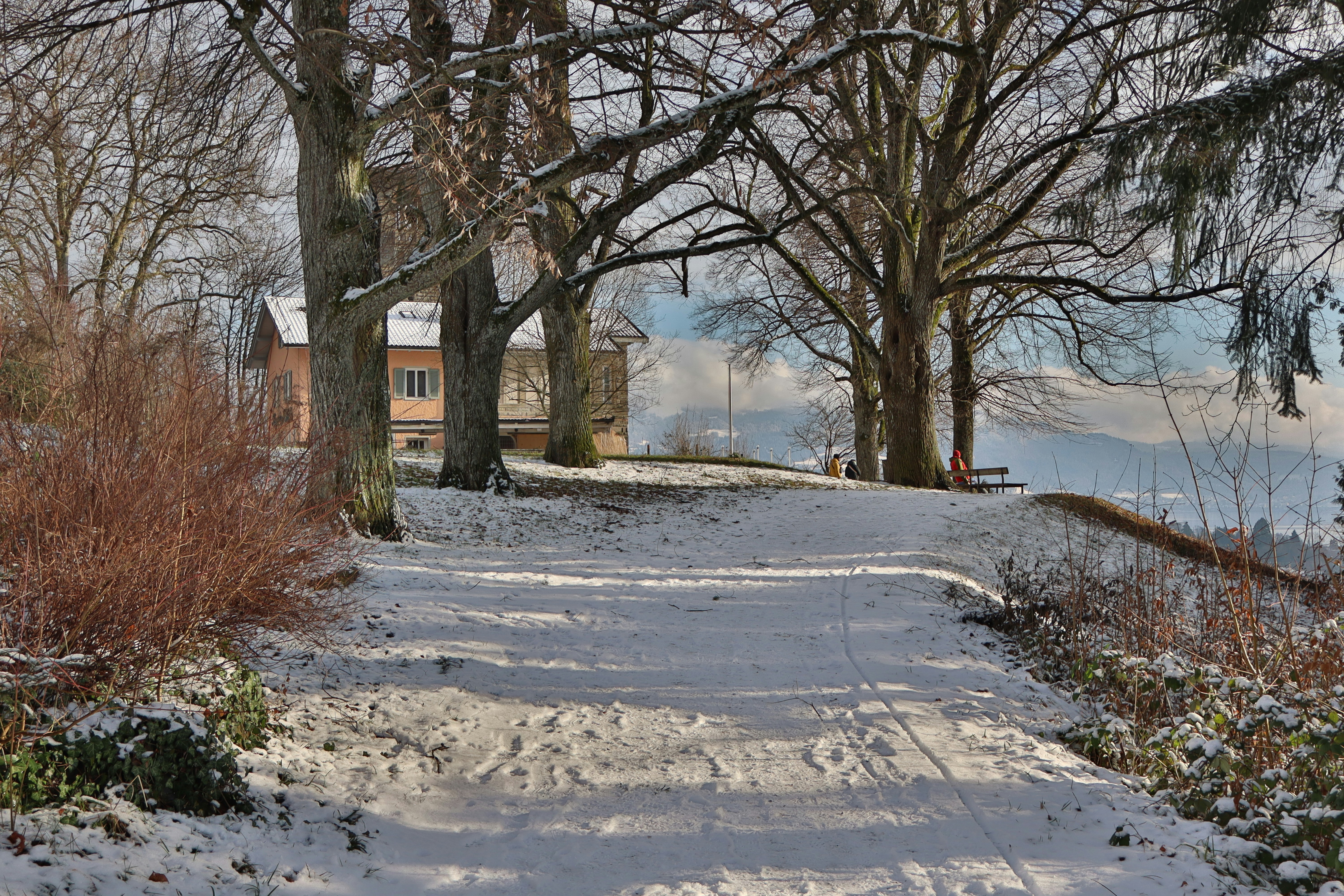 A snow-covered path leads to a house