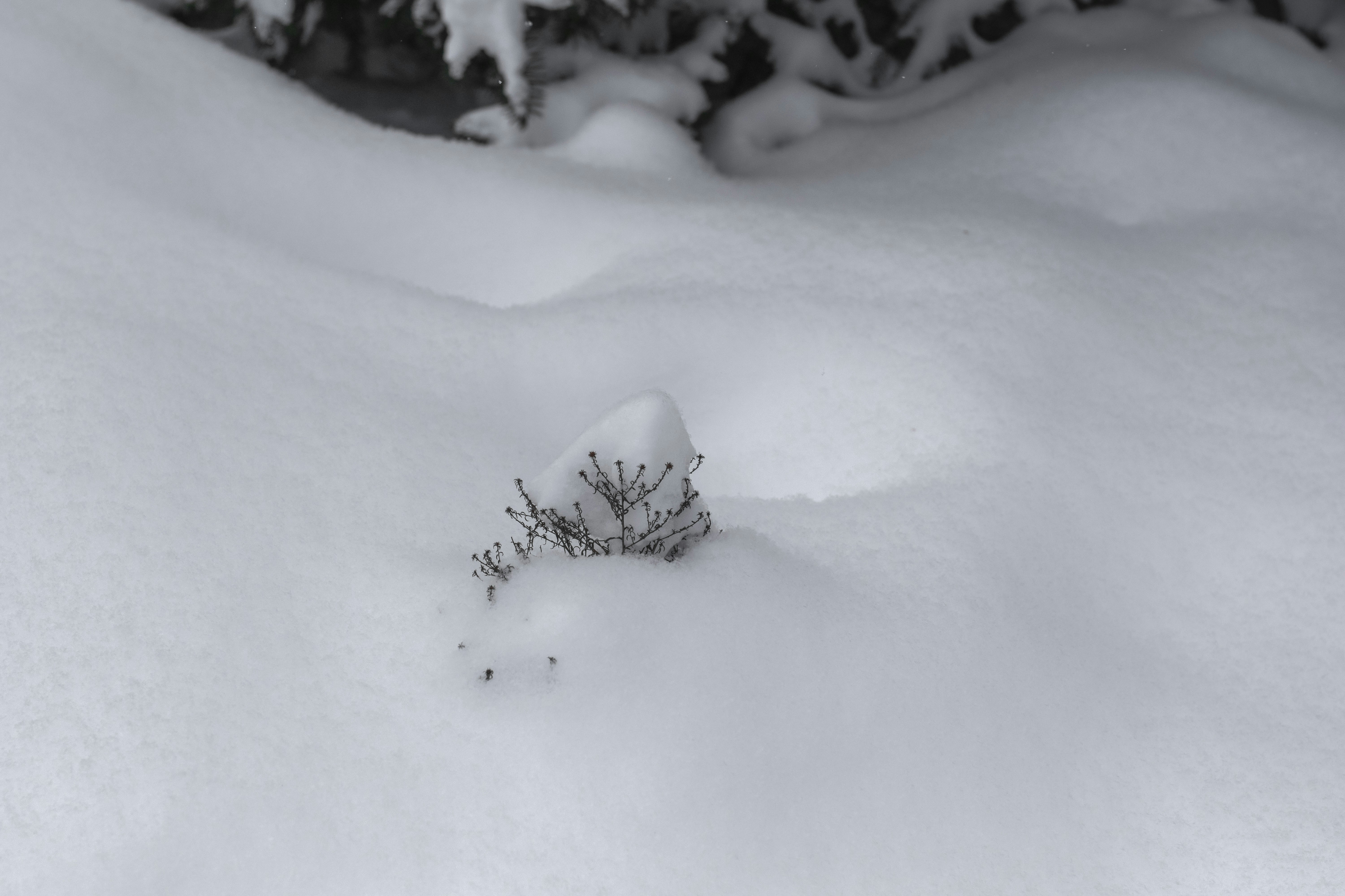 Photo by karynaviktori