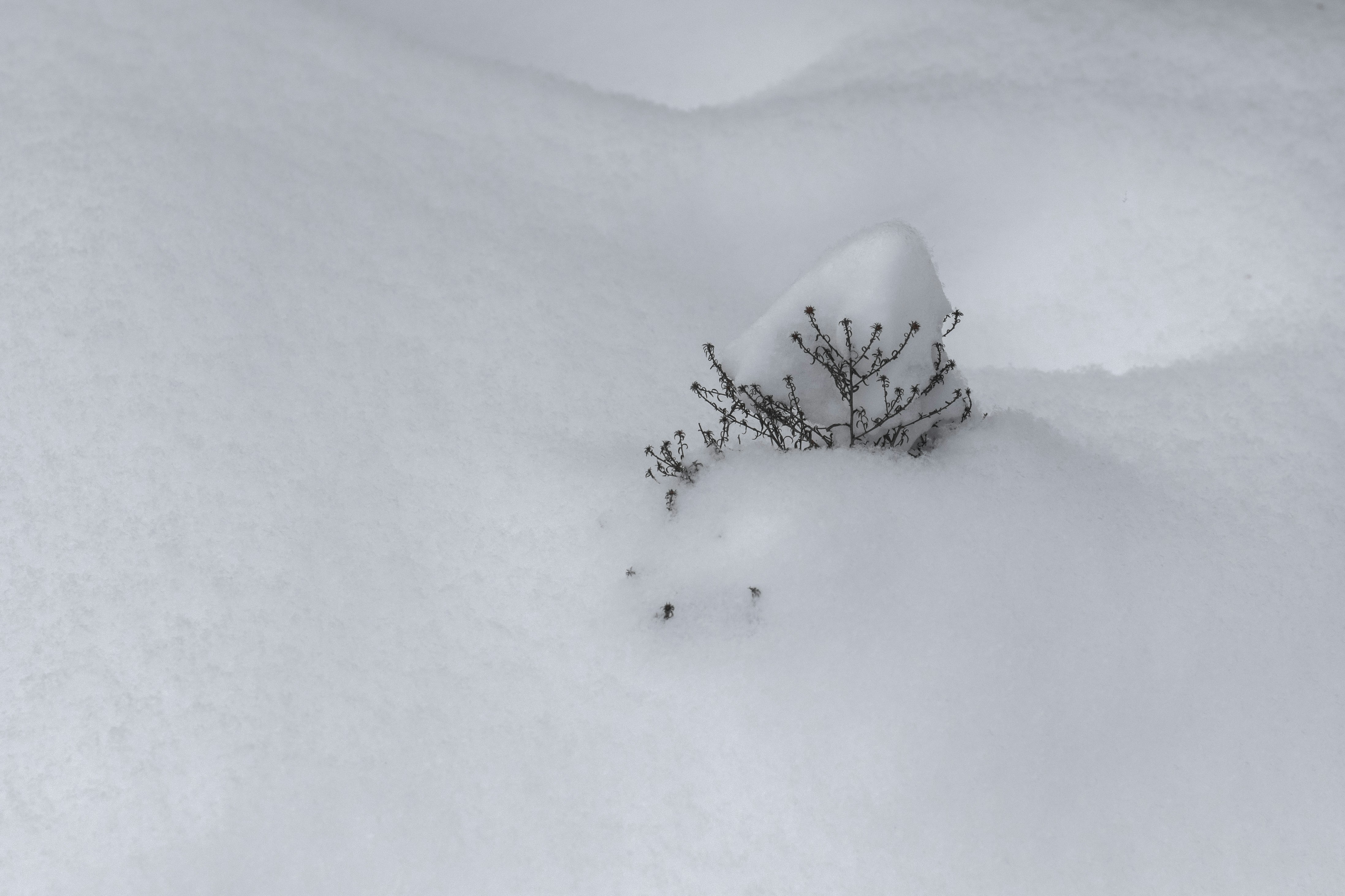 Photo by karynaviktori