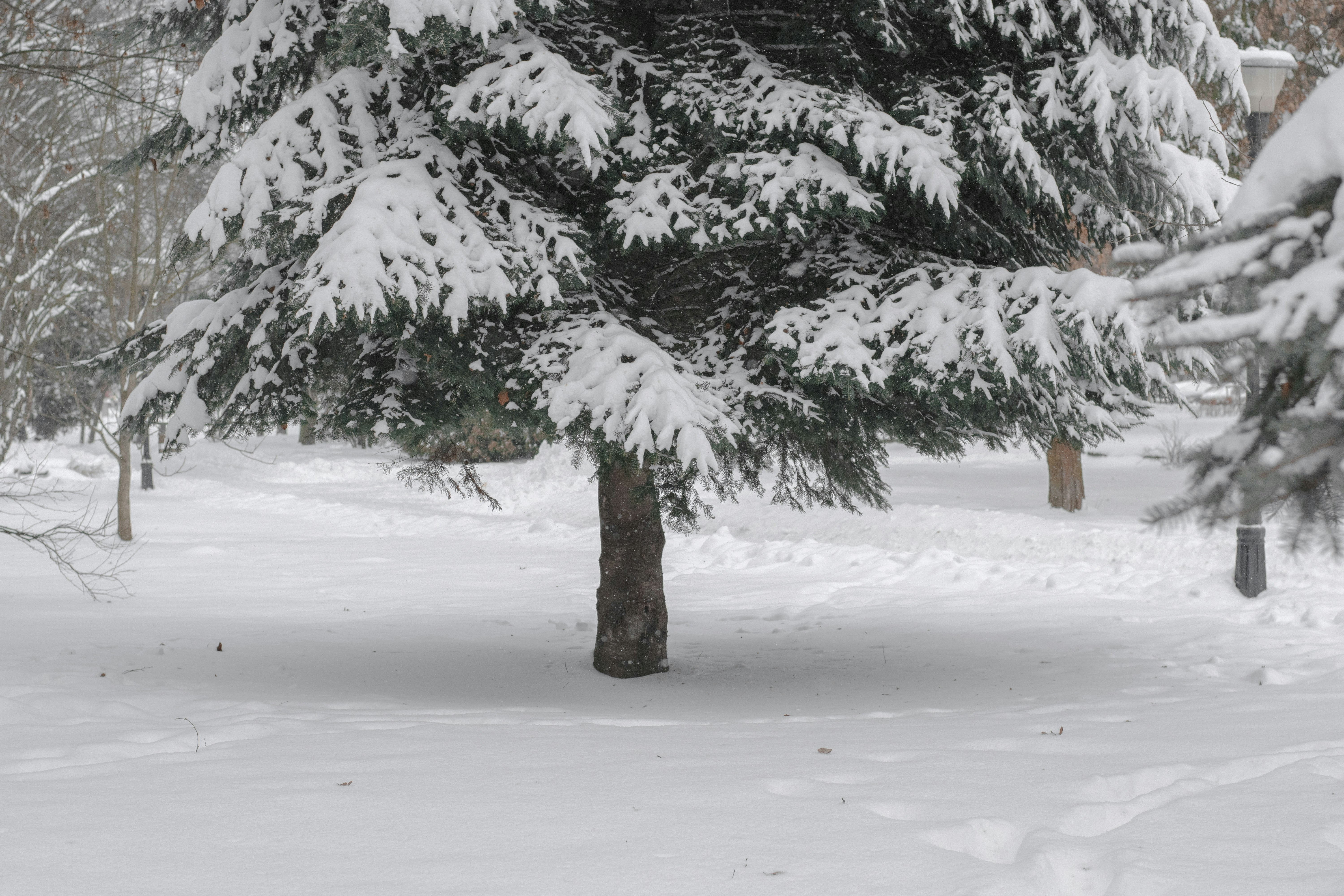 Photo by karynaviktori