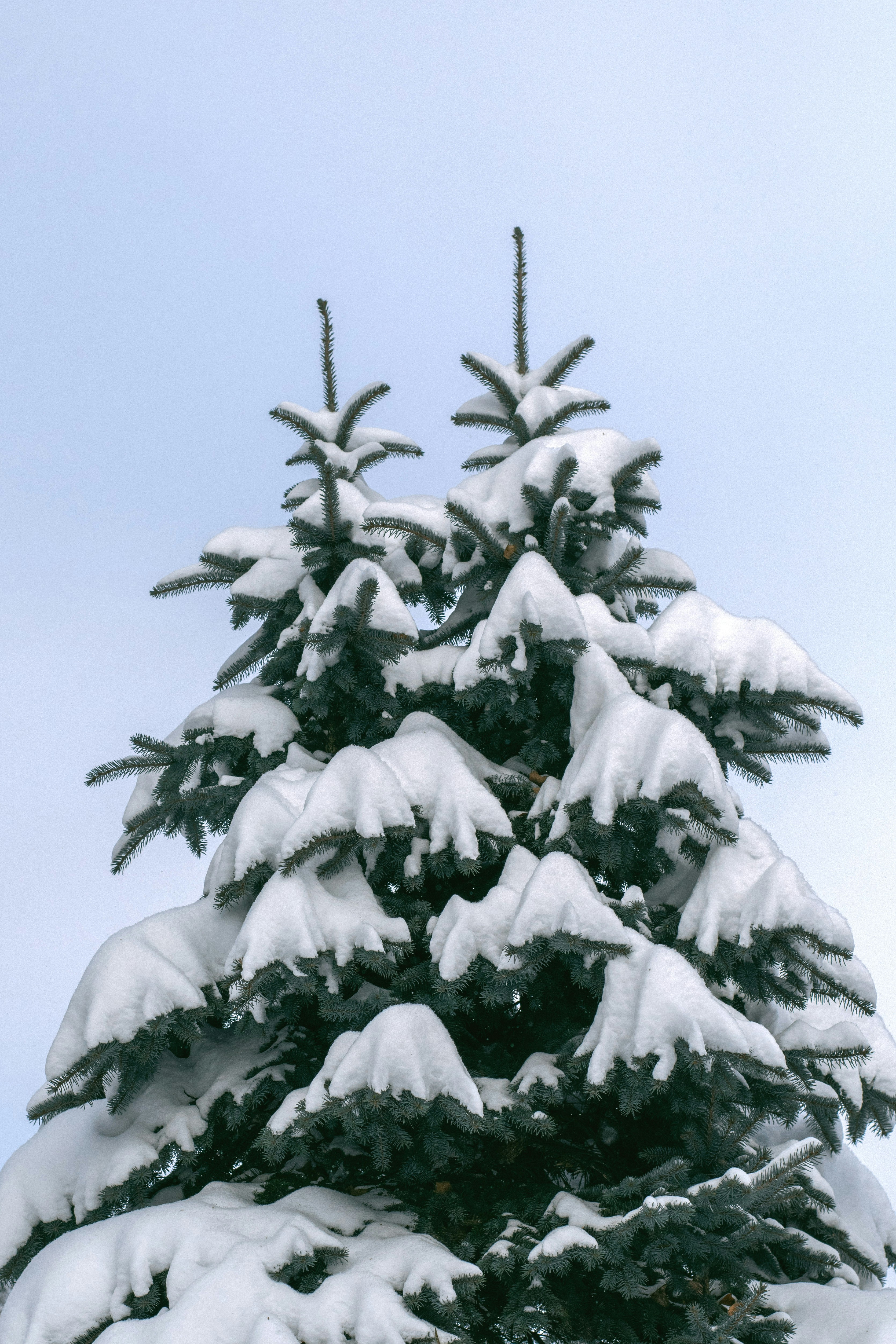 Photo by karynaviktori