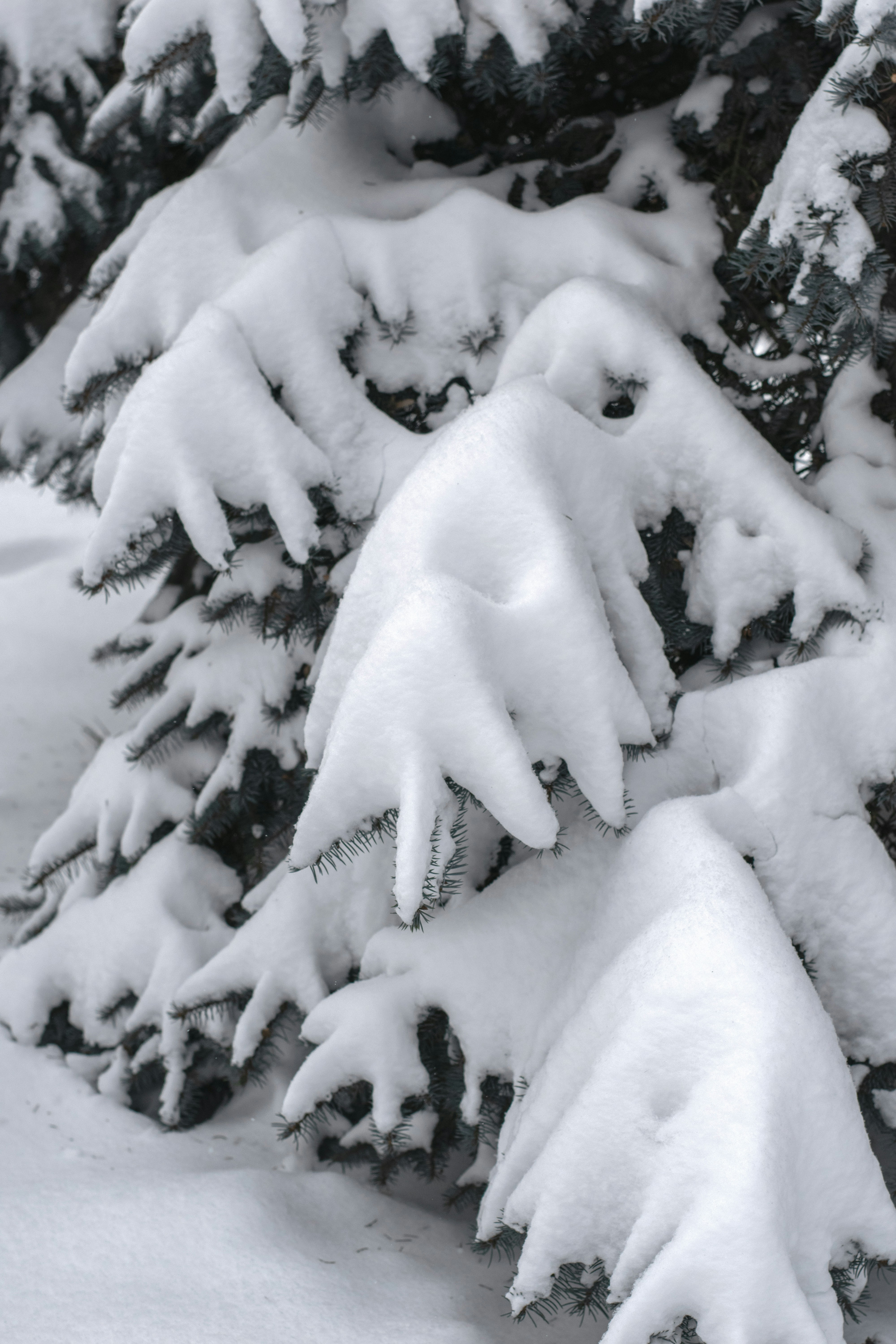 Photo by karynaviktori