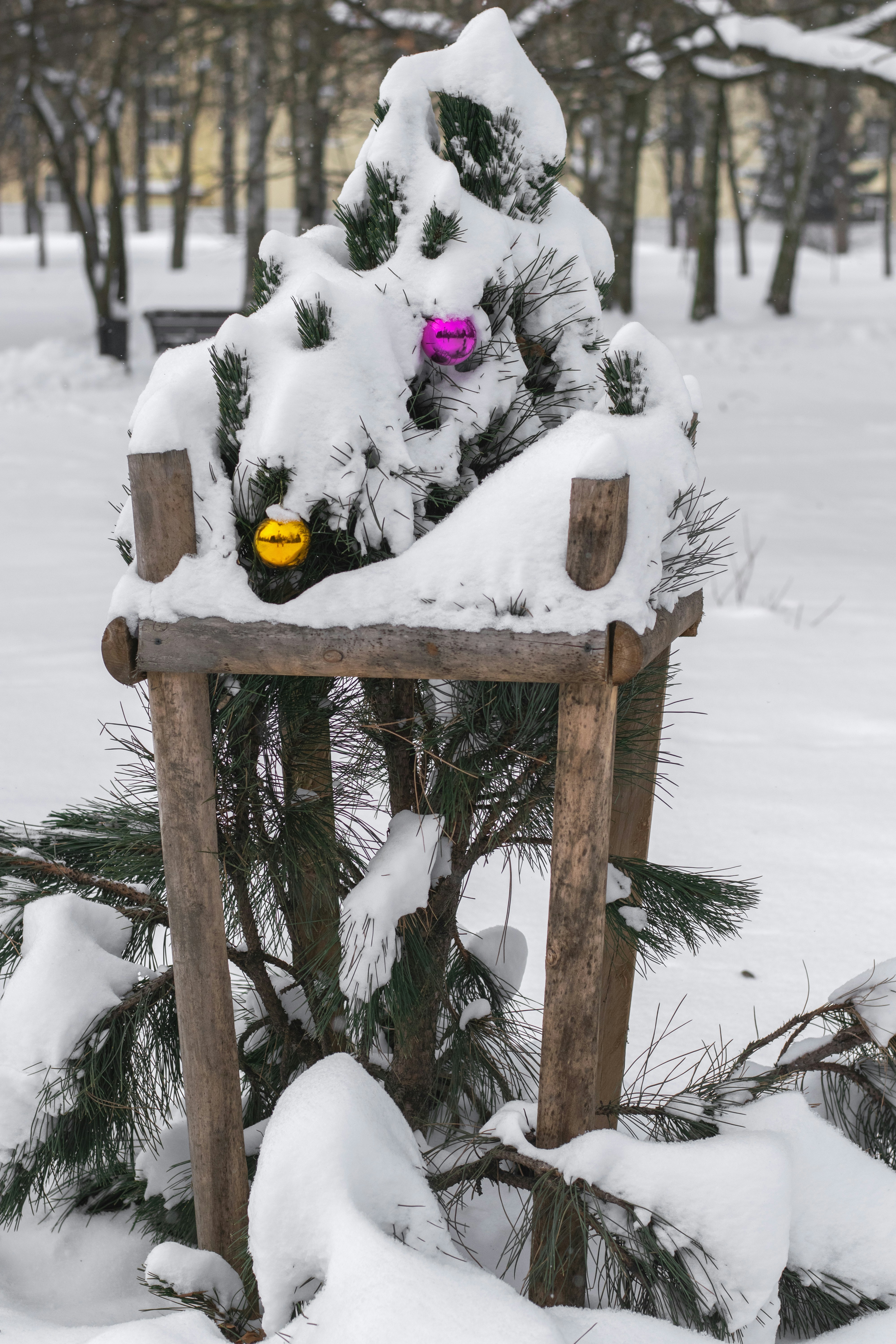 Pequena árvore coberta de neve com enfeites no parque com enfeites