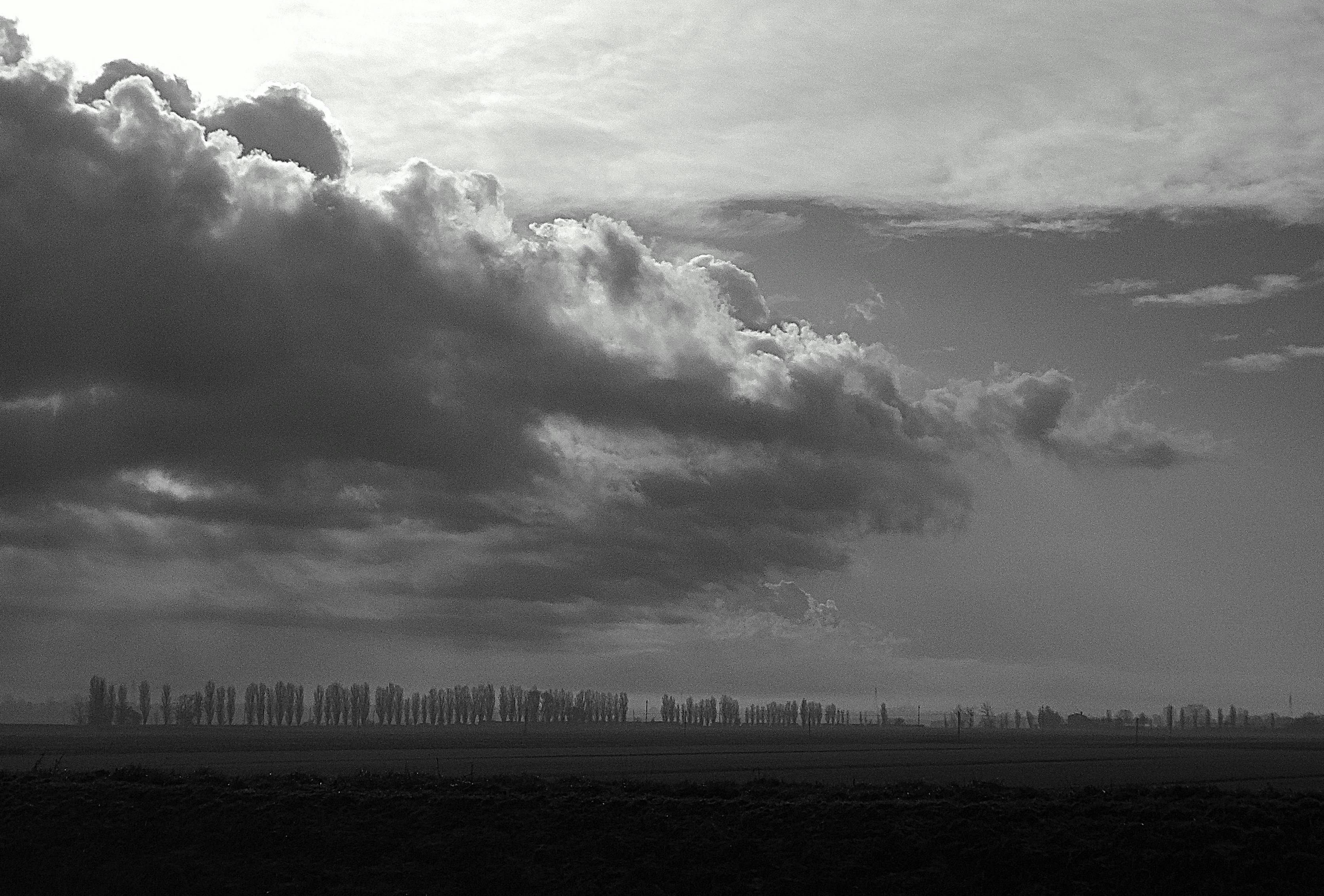Photo by francepi
