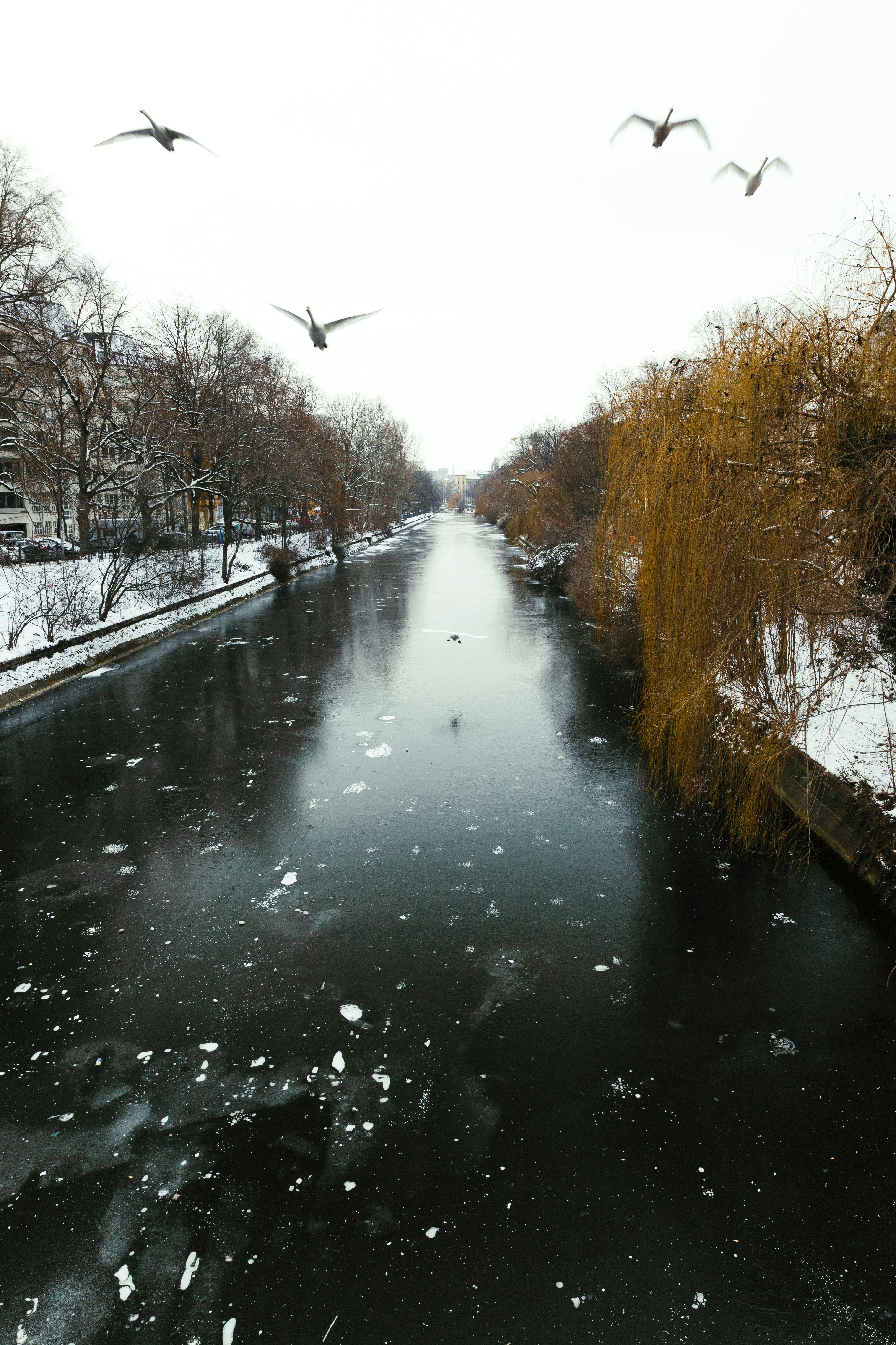 Photo by nikita_pishchugin